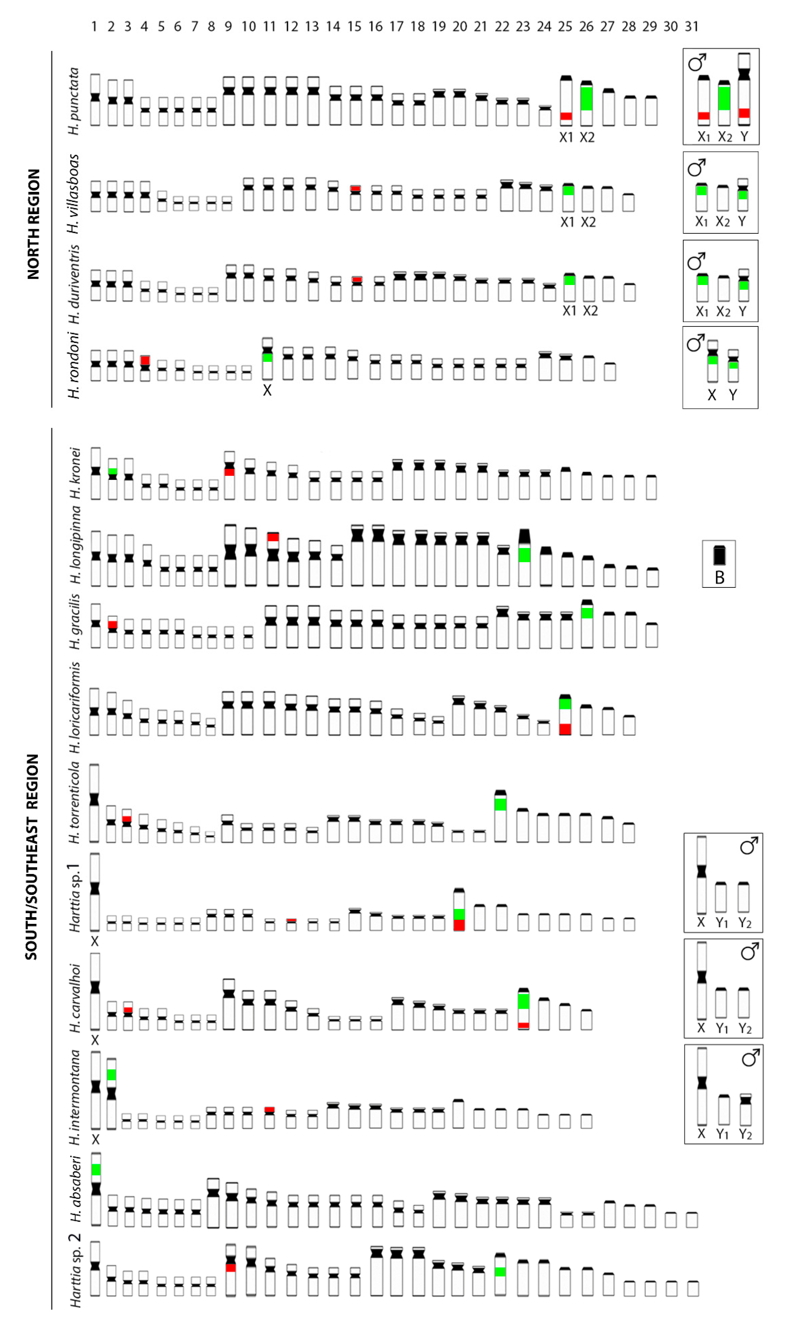 Genes 11 01366 g006