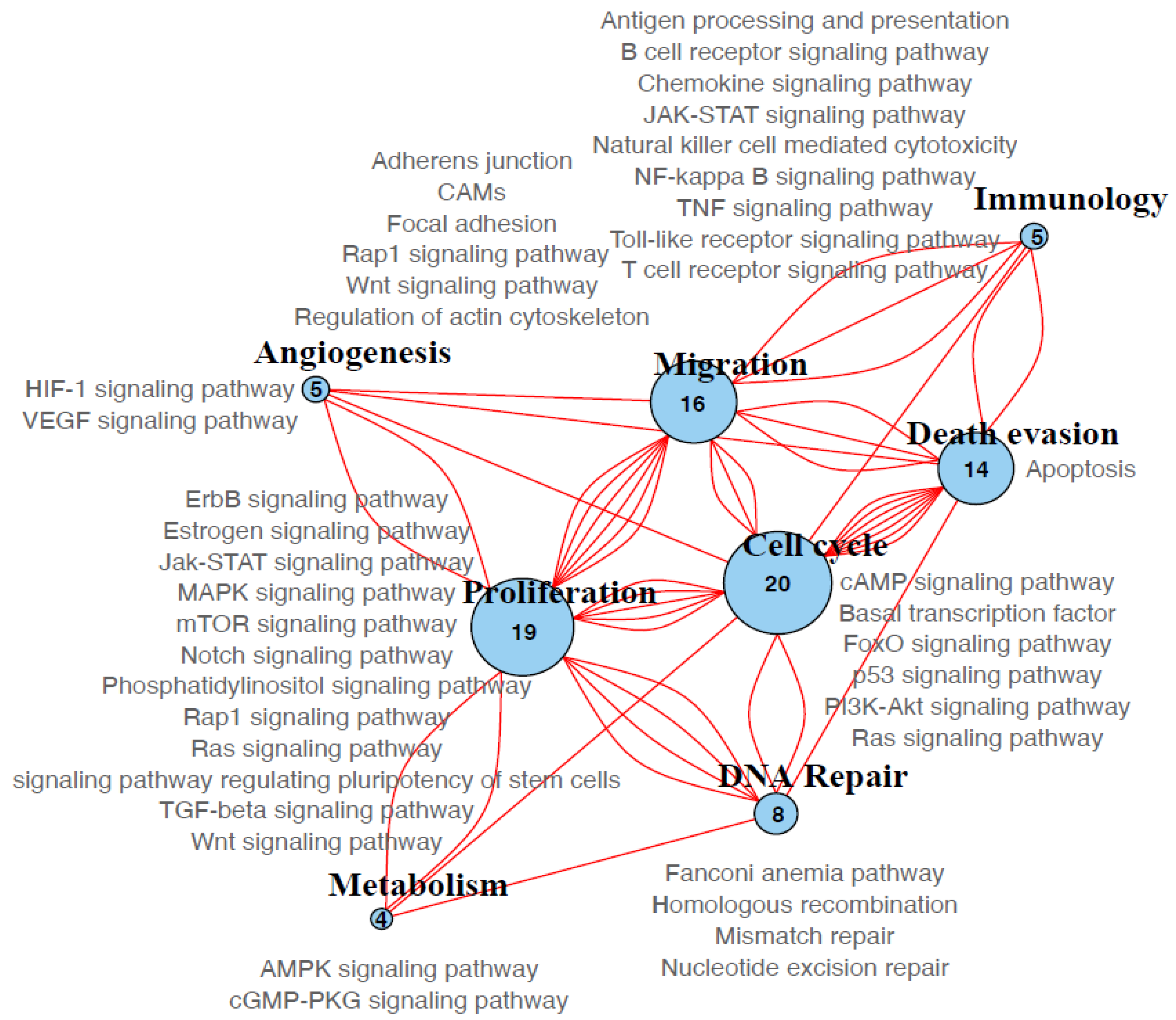 Genes 11 01367 g005 Genes 11 01367 g005