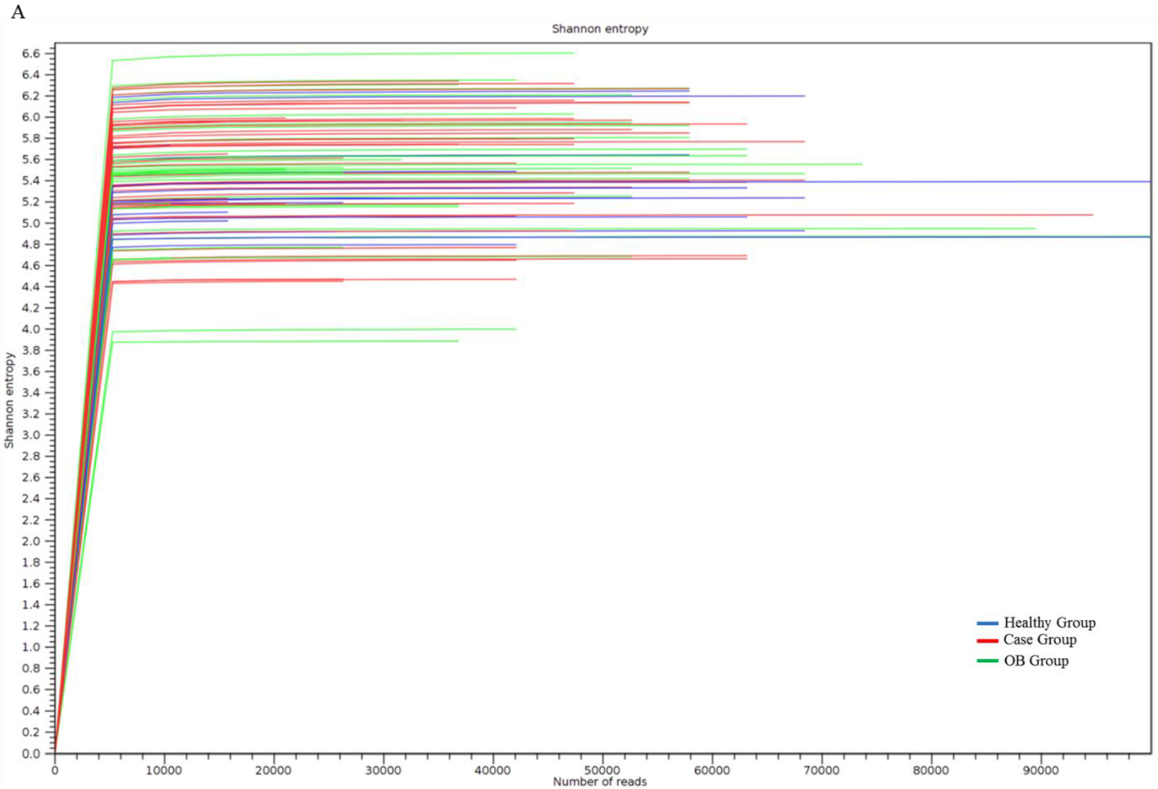 Genes 11 01374 g001a