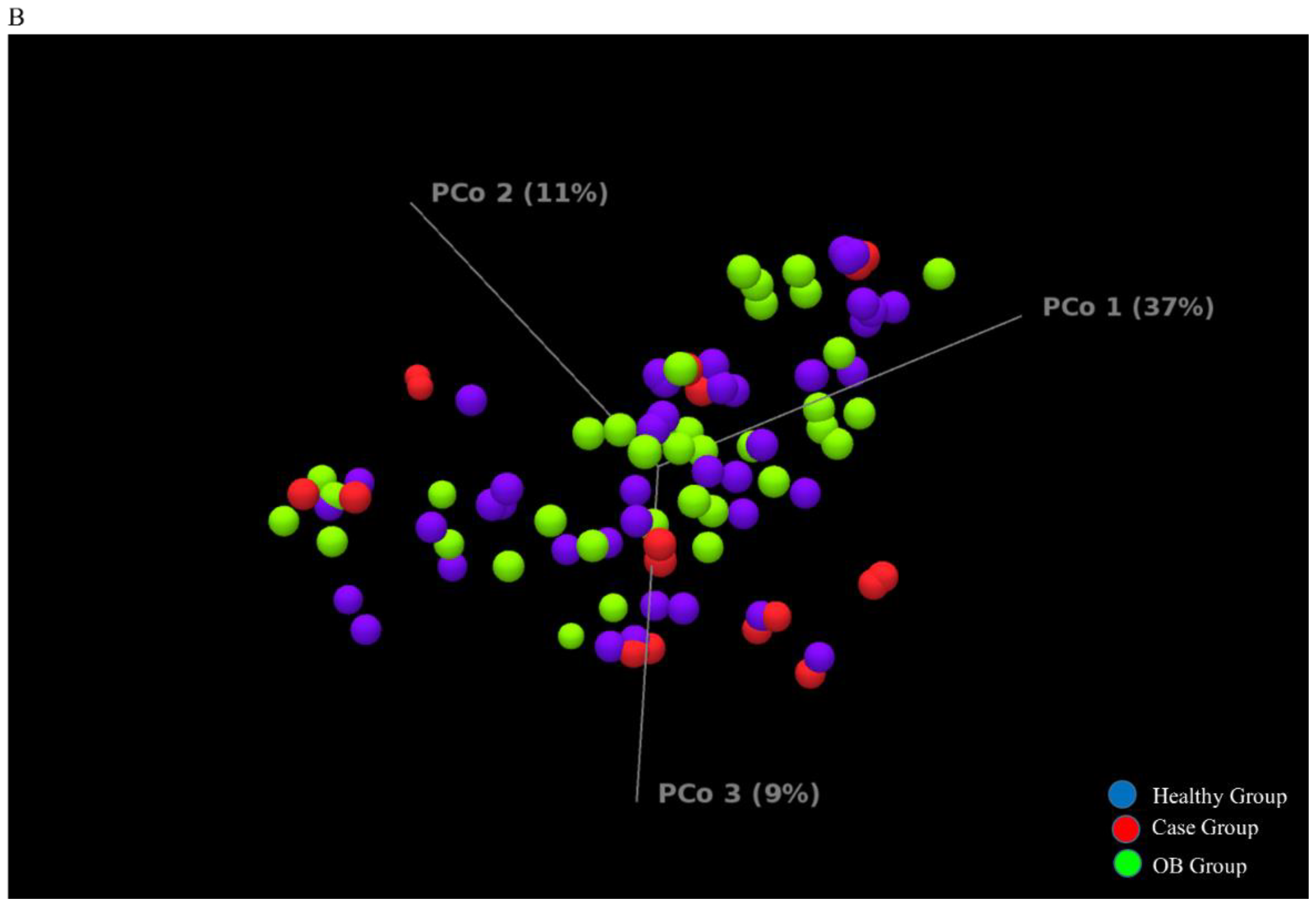 Genes 11 01374 g001b