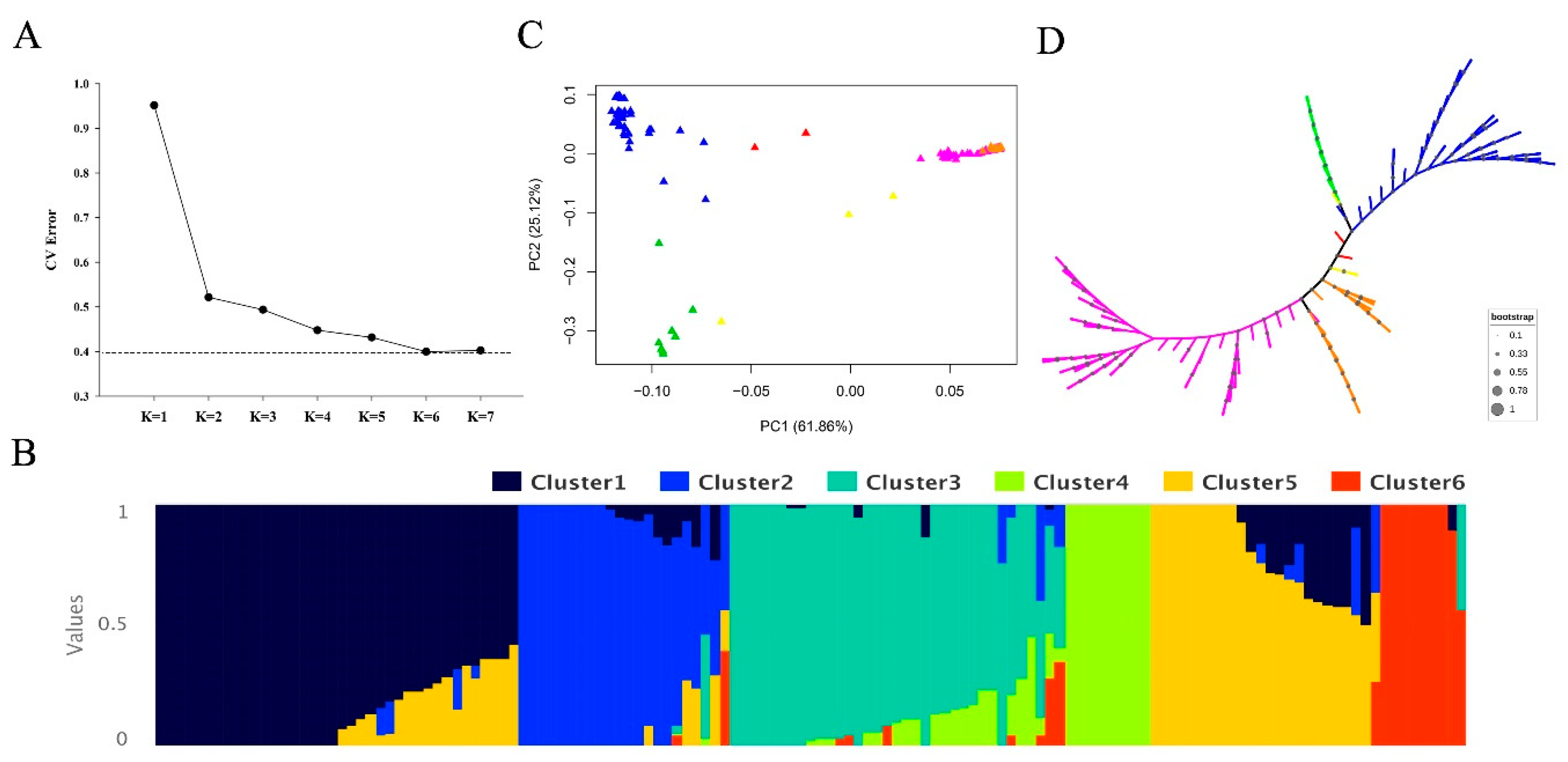Genes 11 01395 g003