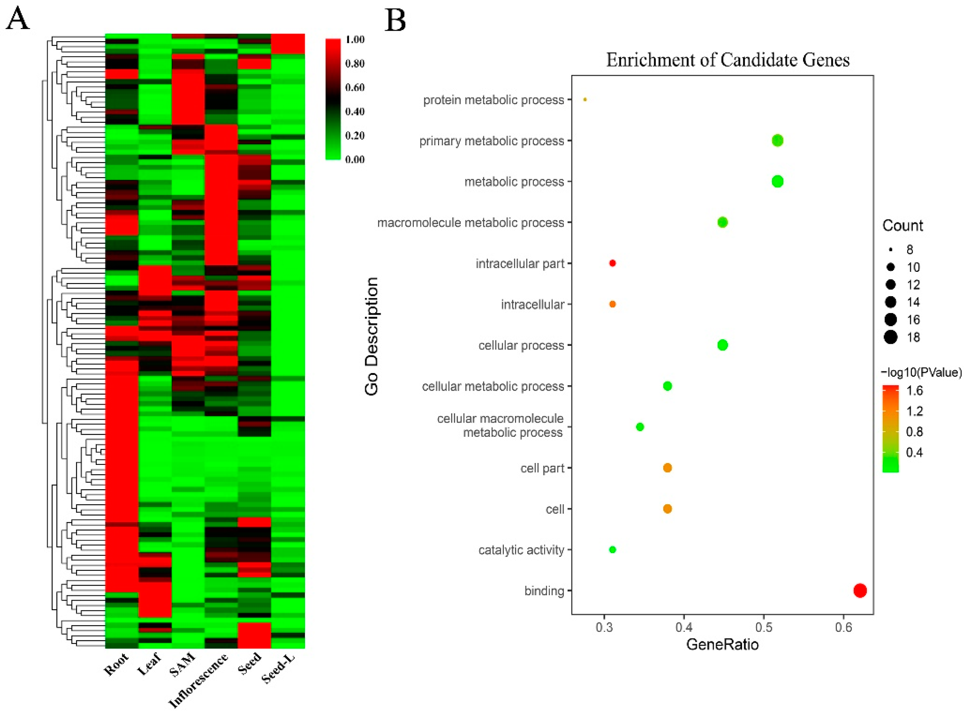 Genes 11 01395 g005