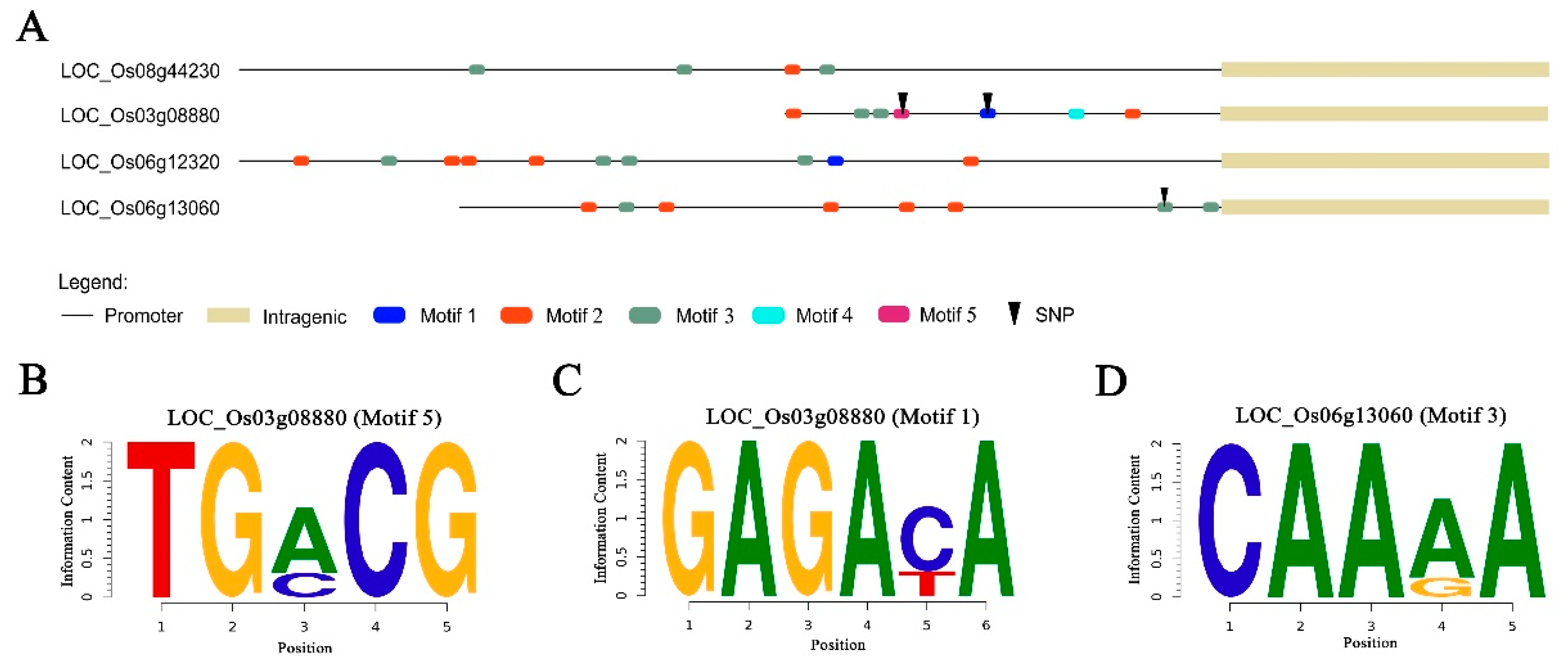 Genes 11 01395 g007