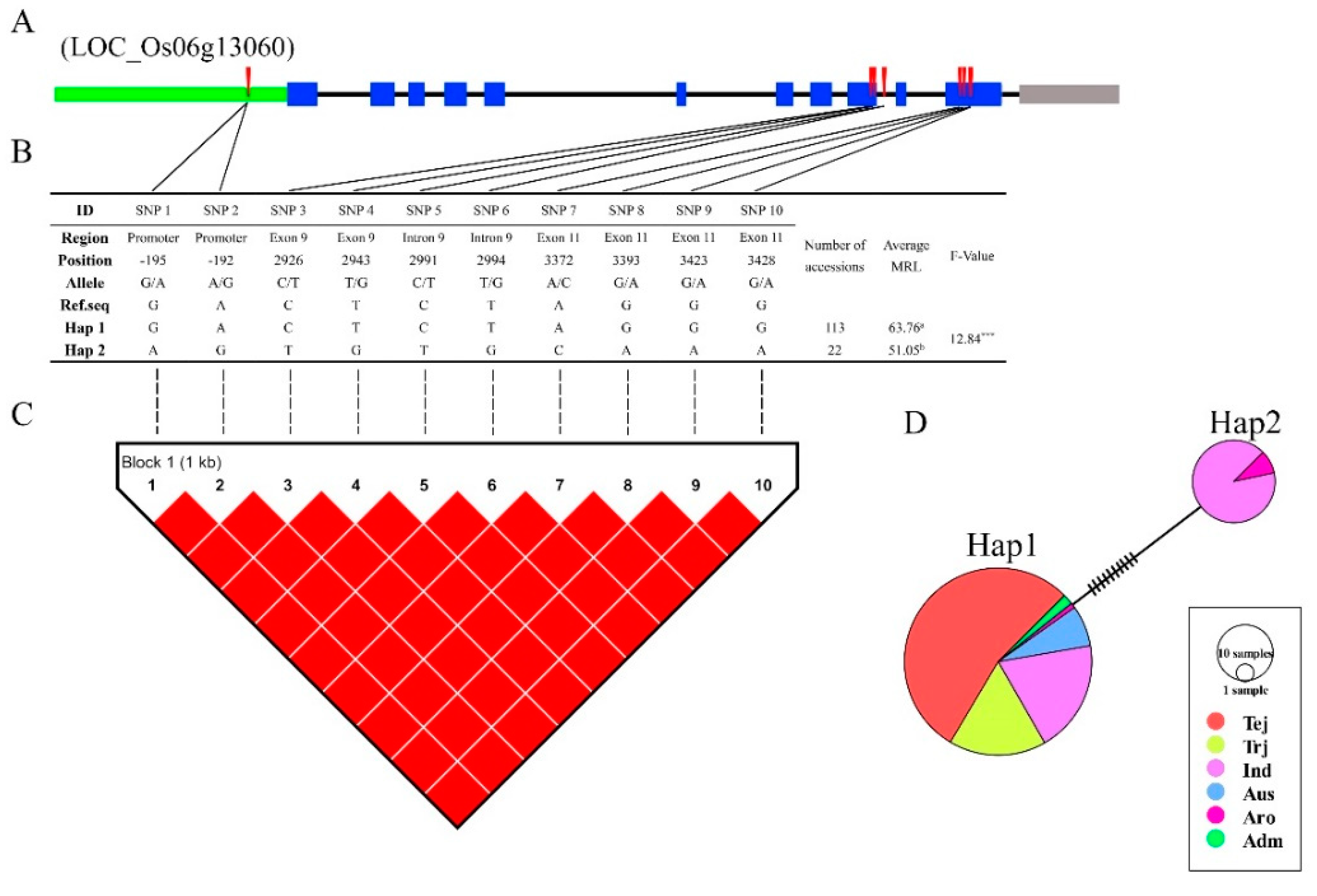 Genes 11 01395 g009