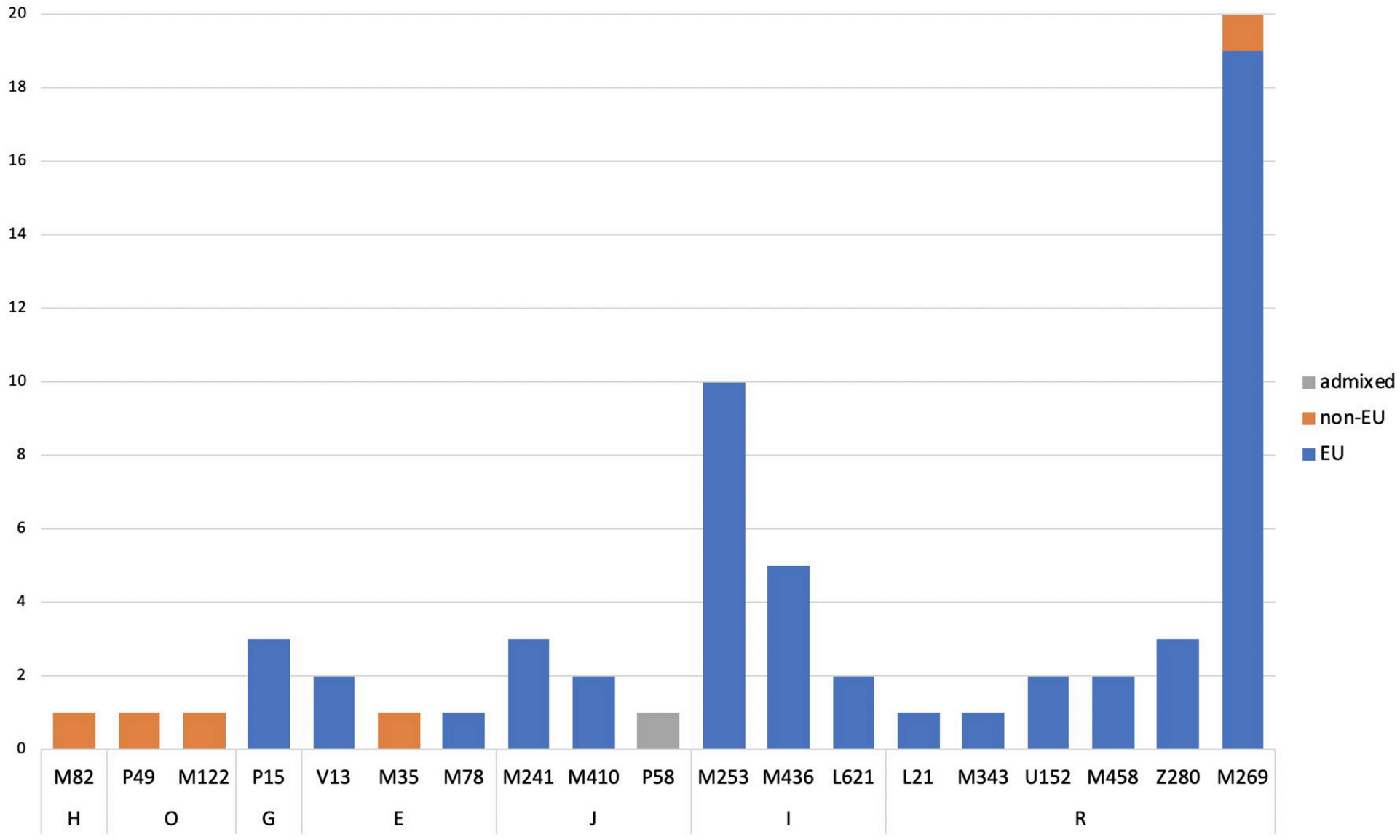 Genes 11 01398 g003 Genes 11 01398 g003