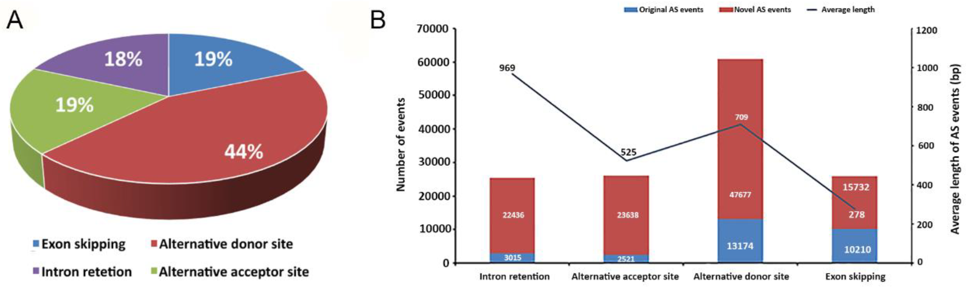 Genes 11 01405 g001