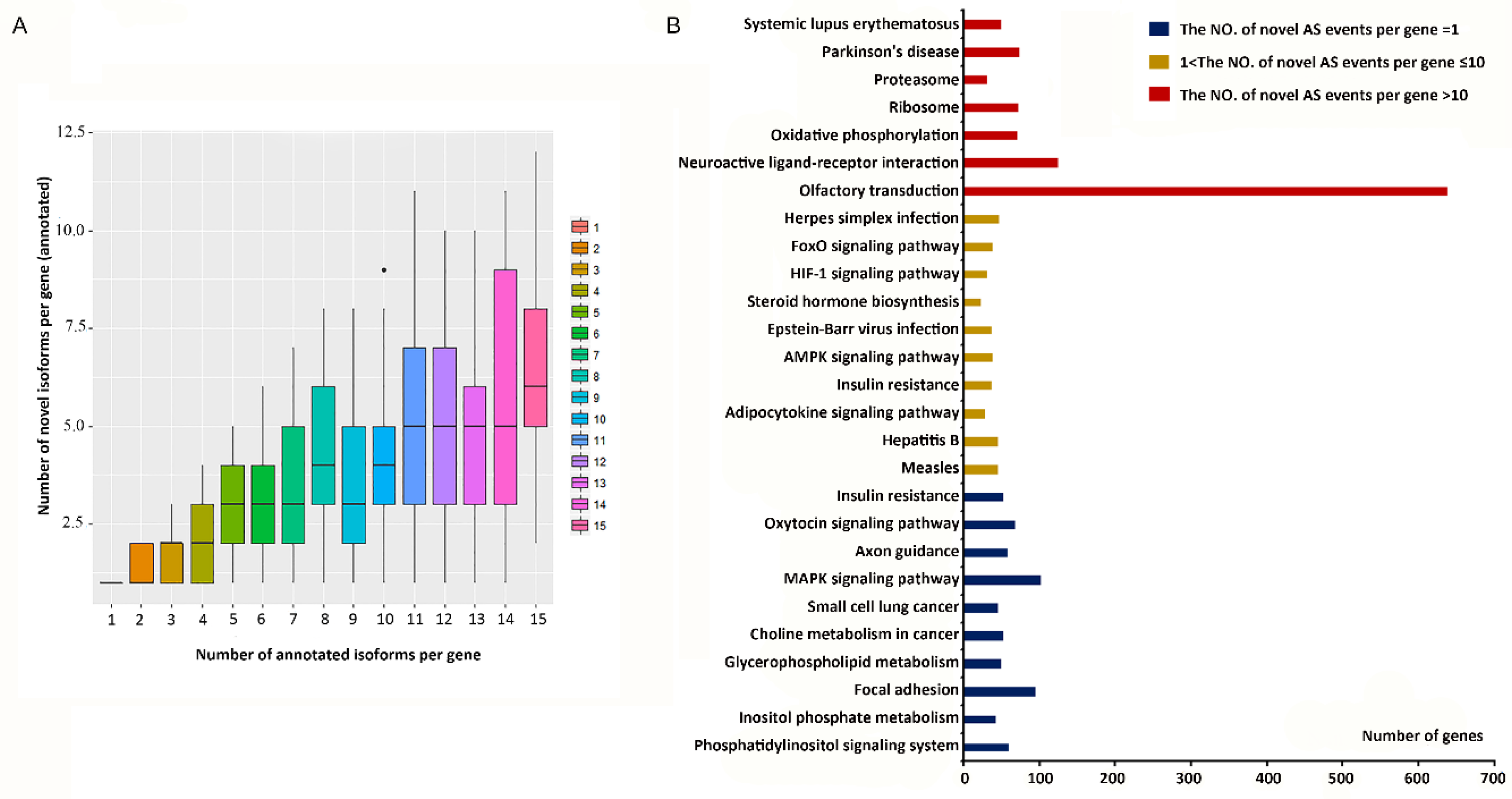 Genes 11 01405 g002