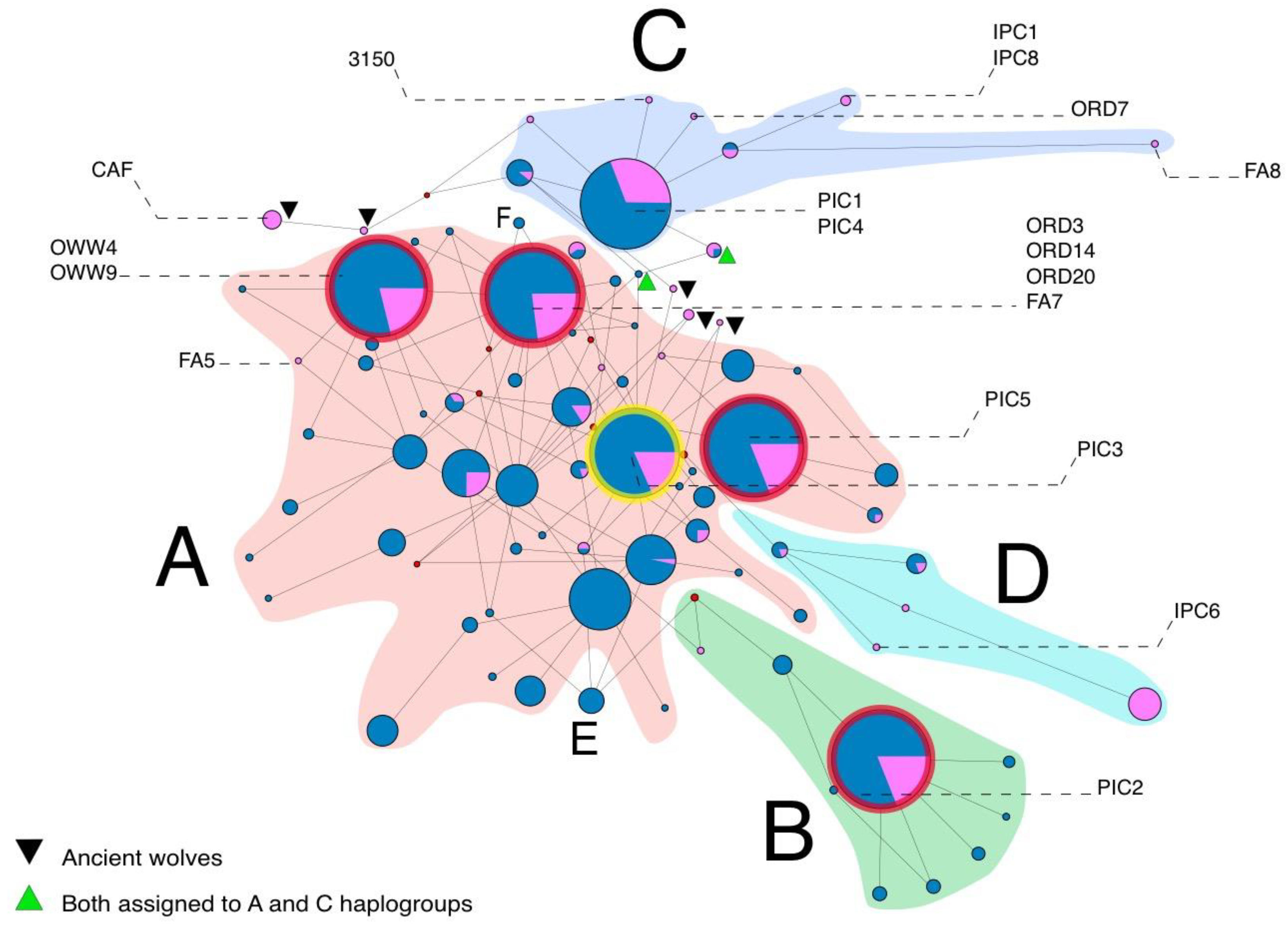 Genes 11 01409 g003