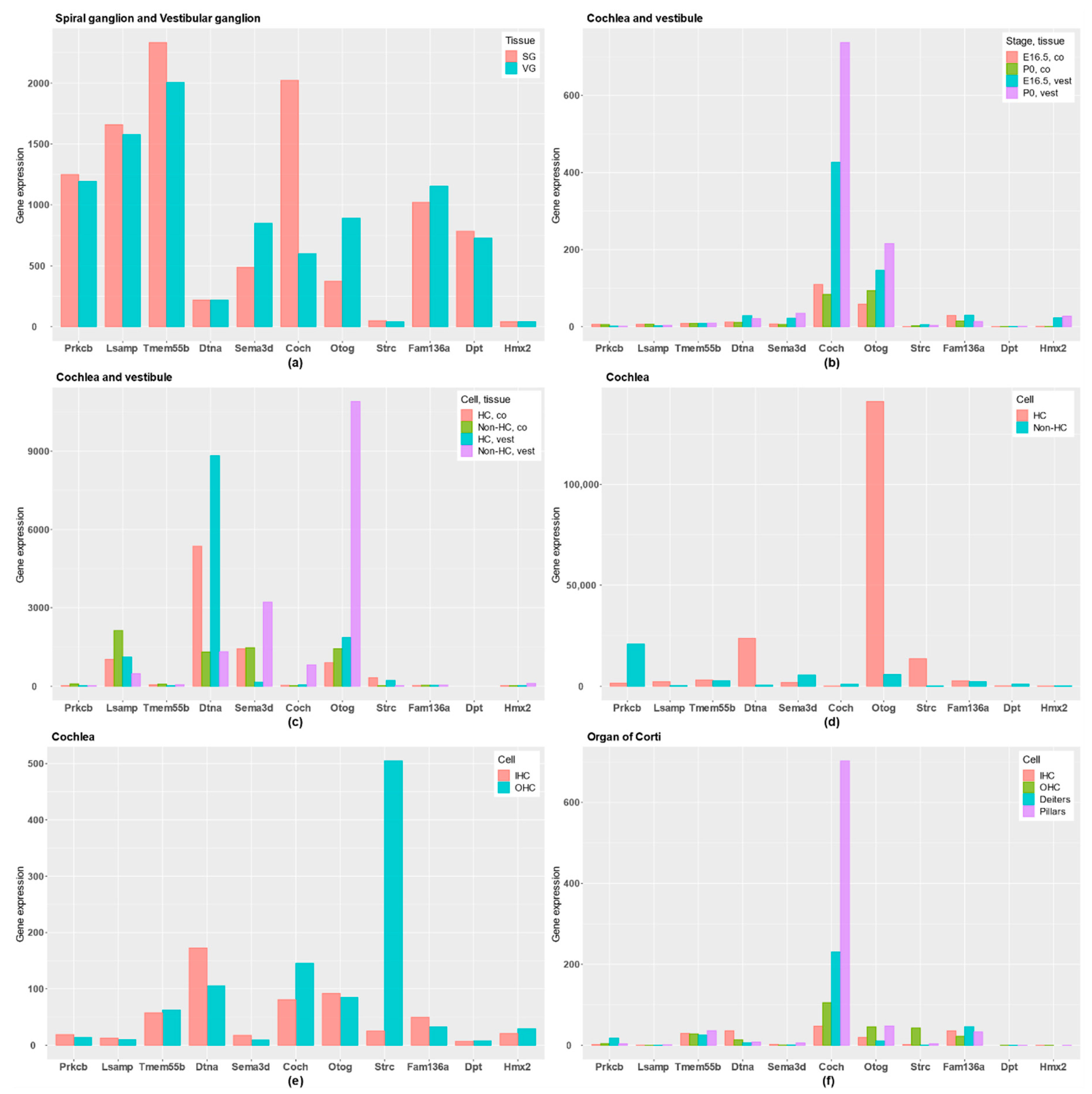 Genes 11 01414 g003 Genes 11 01414 g003