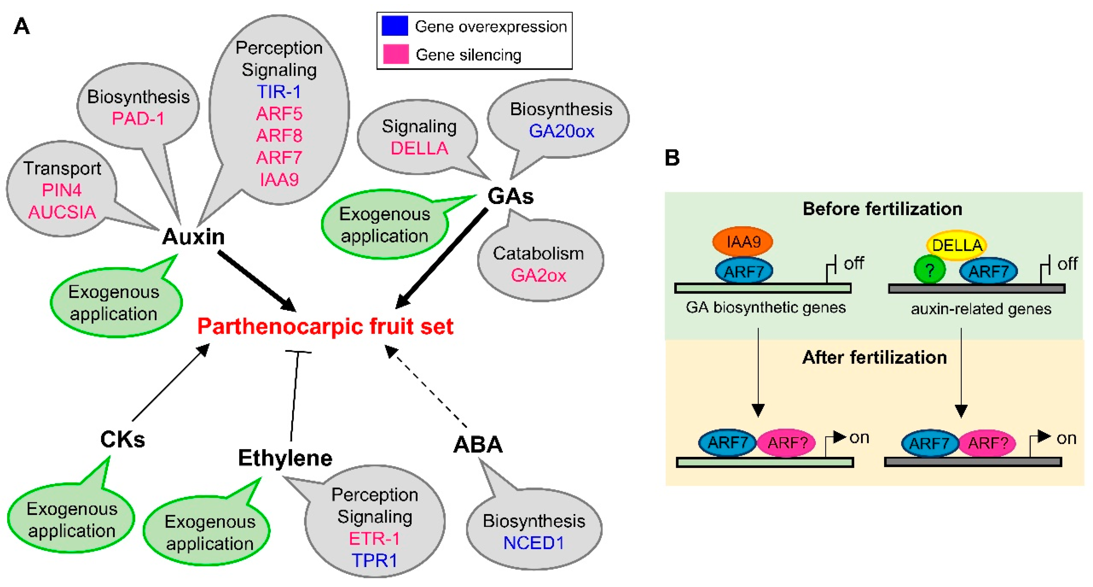 Genes 11 01441 g002