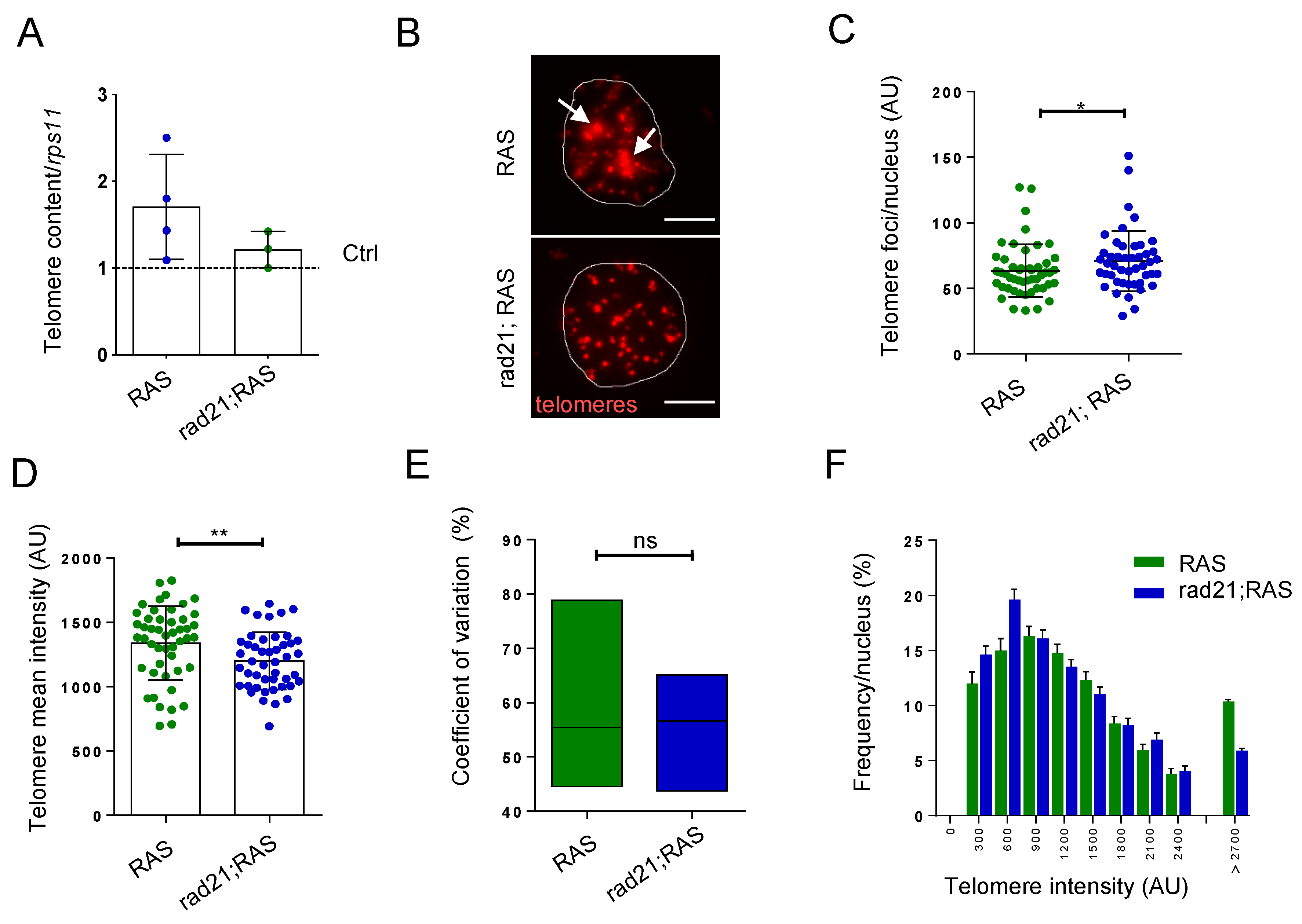 Genes 11 01442 g002a