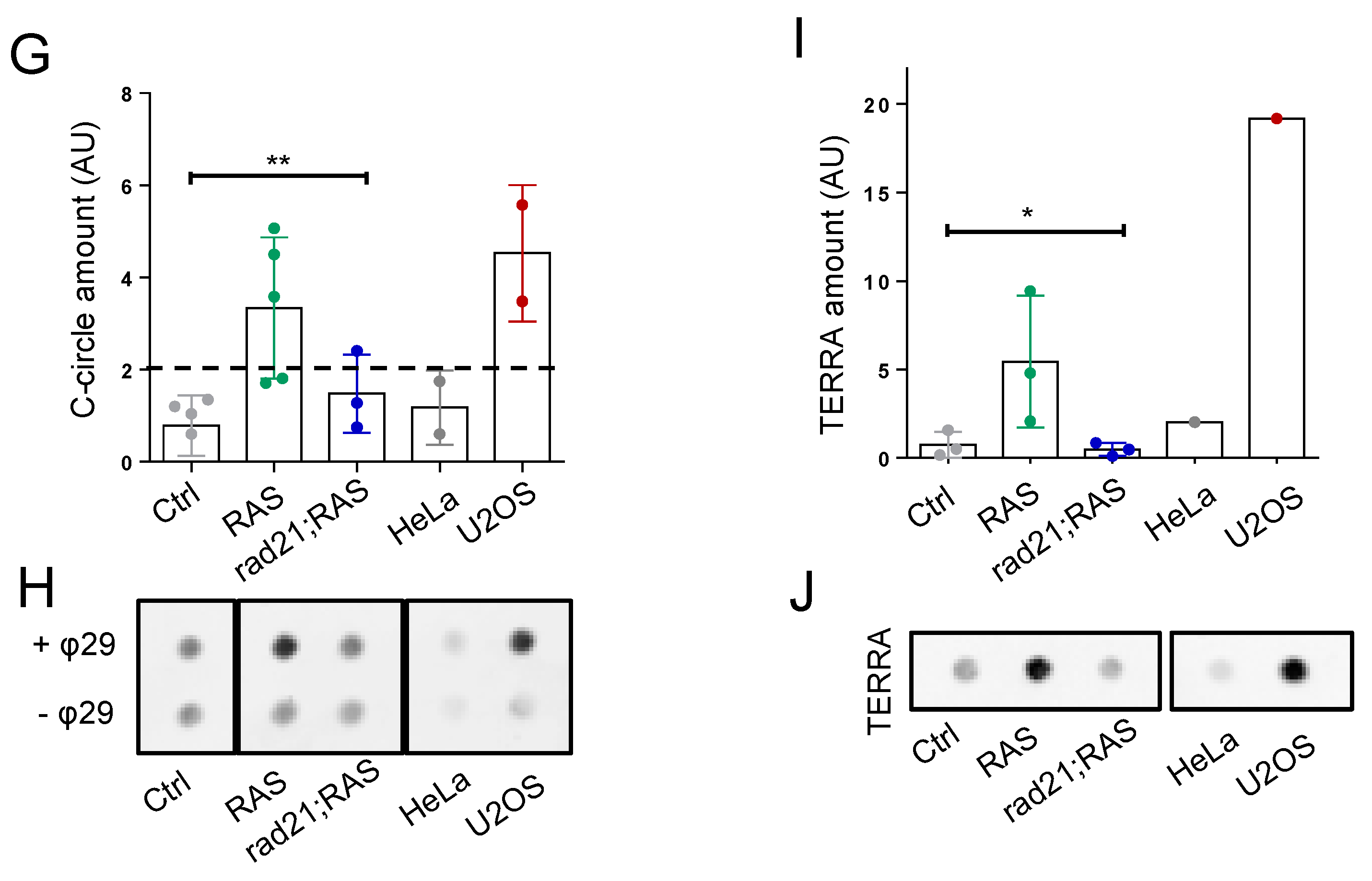 Genes 11 01442 g002b