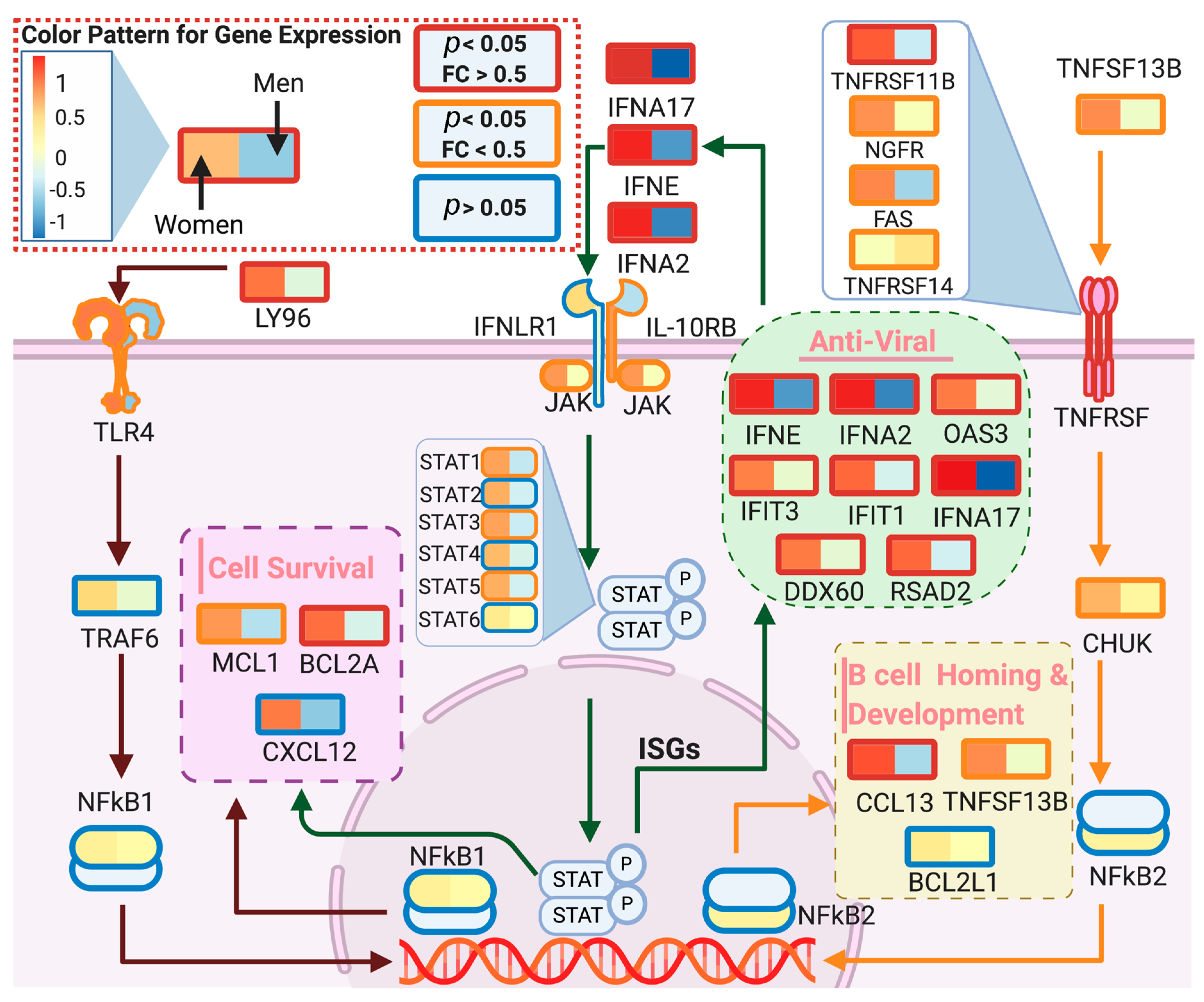 Genes 11 01447 g005