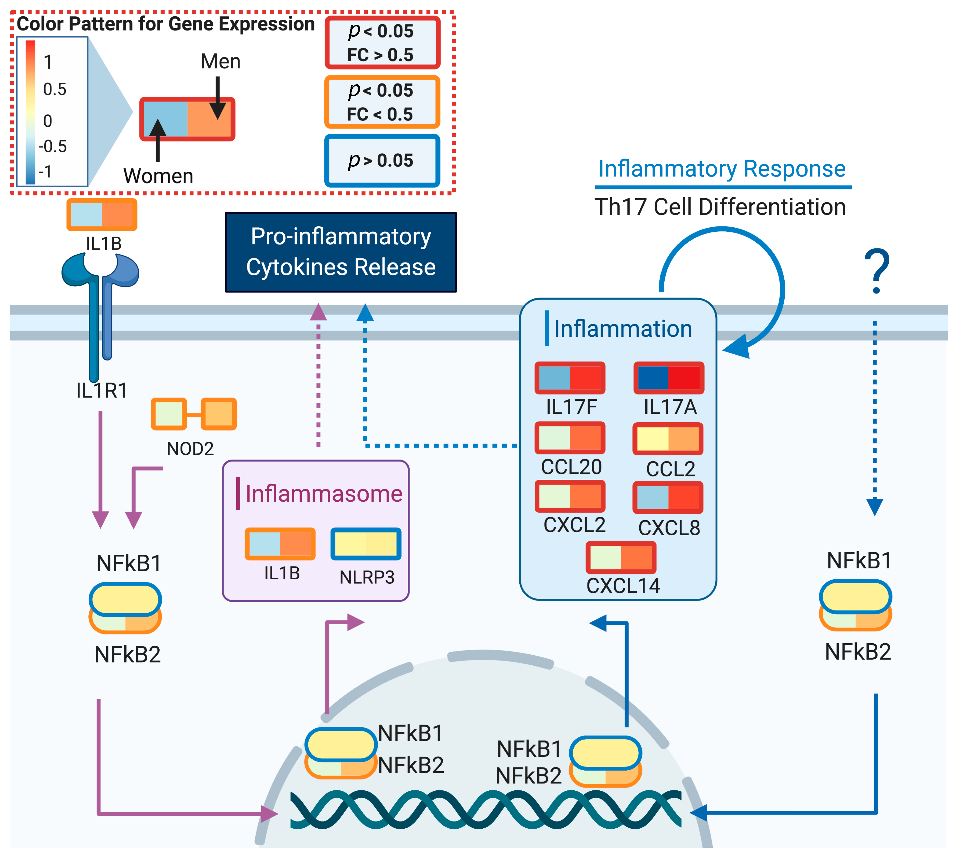 Genes 11 01447 g006