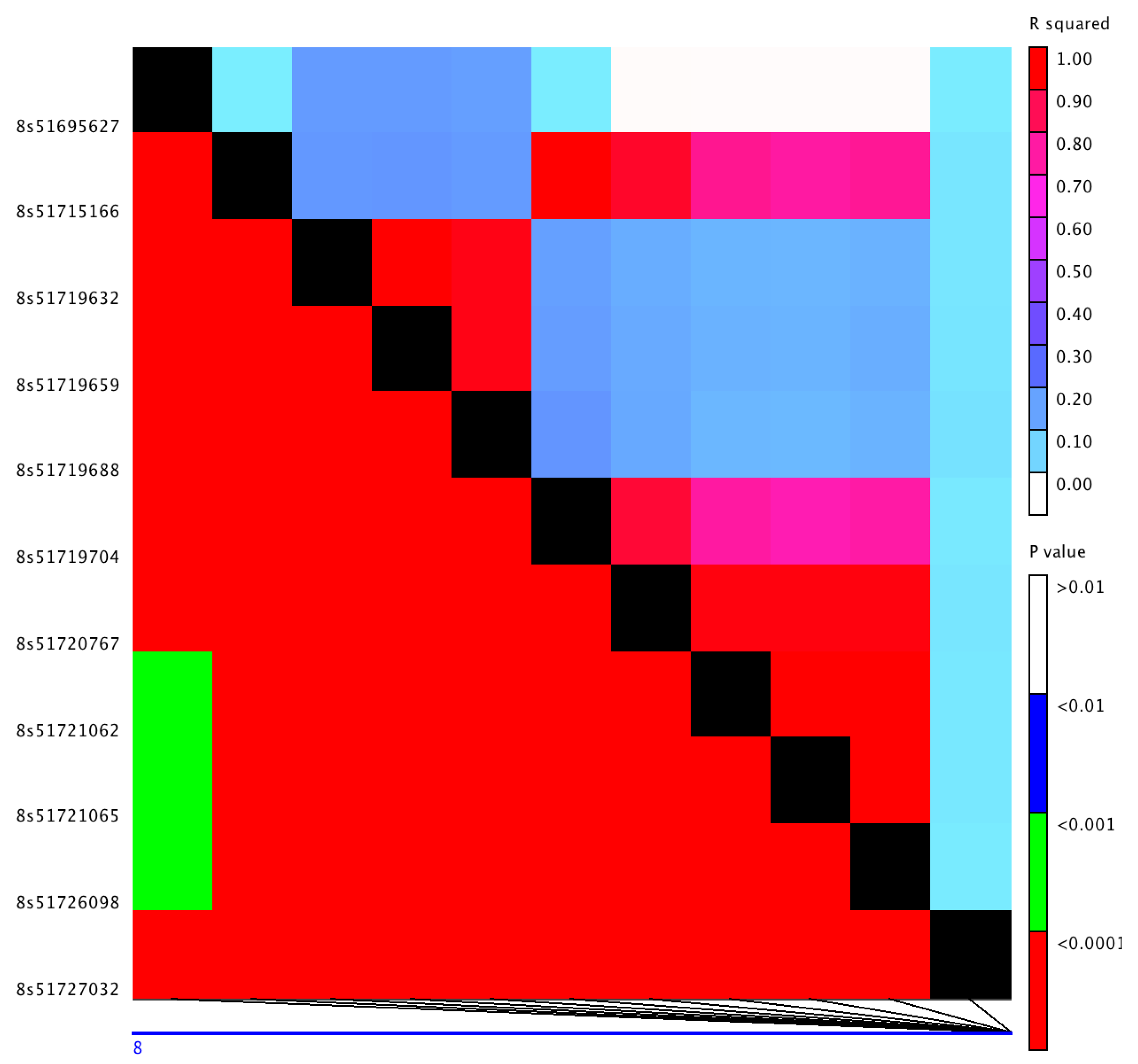 Genes 11 01448 g002 Genes 11 01448 g002