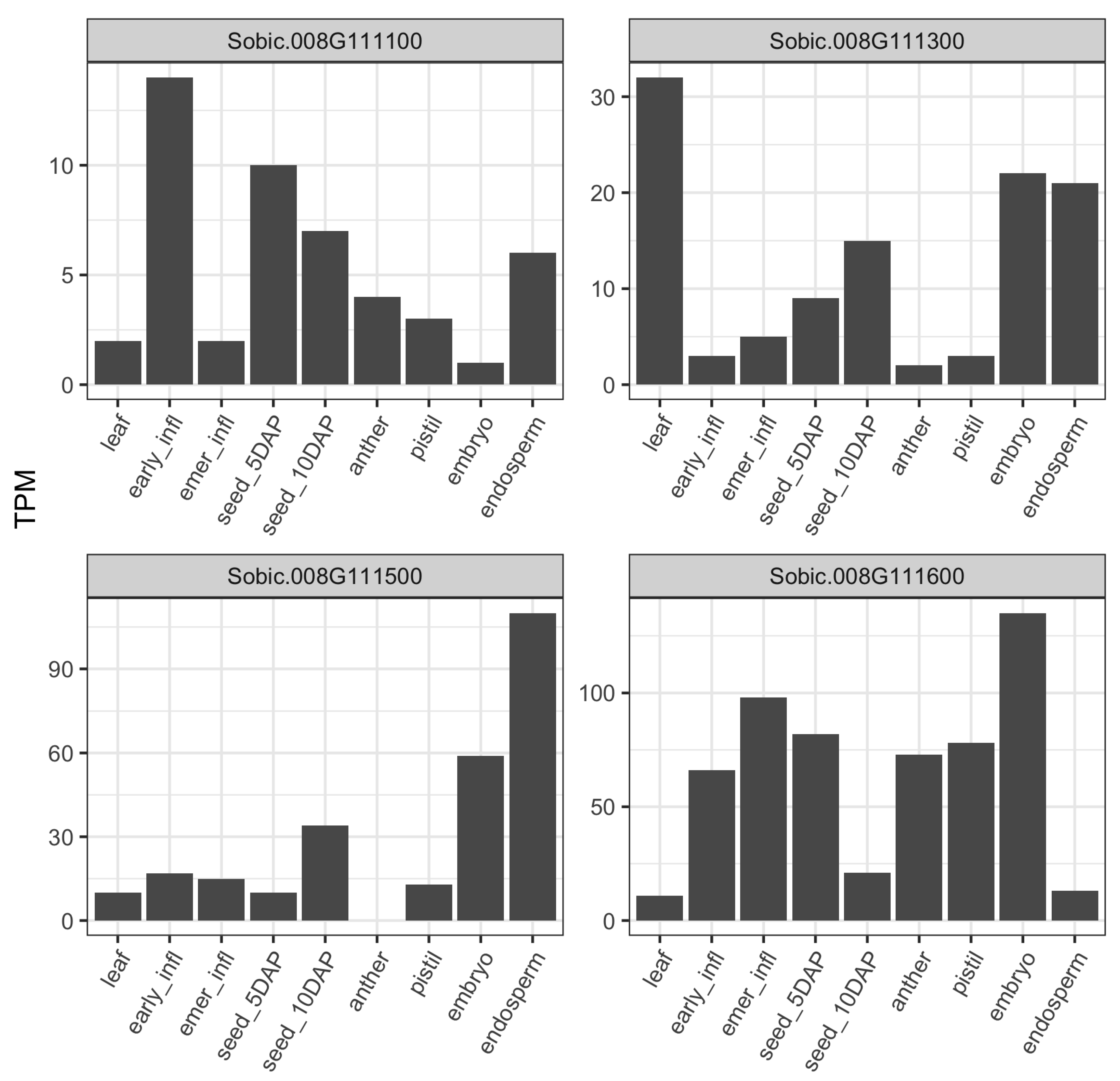 Genes 11 01448 g003 Genes 11 01448 g003