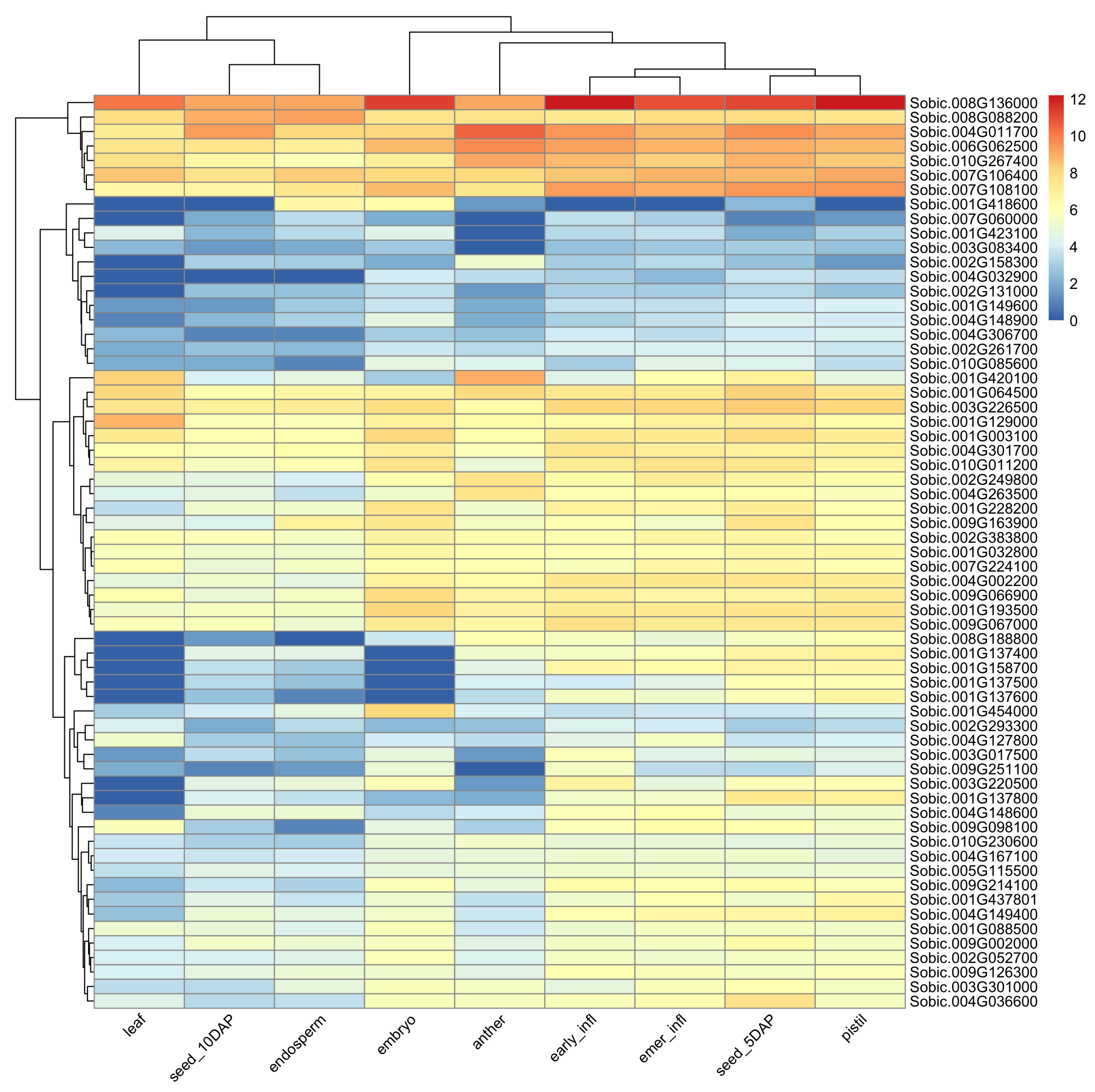 Genes 11 01448 g004 Genes 11 01448 g004
