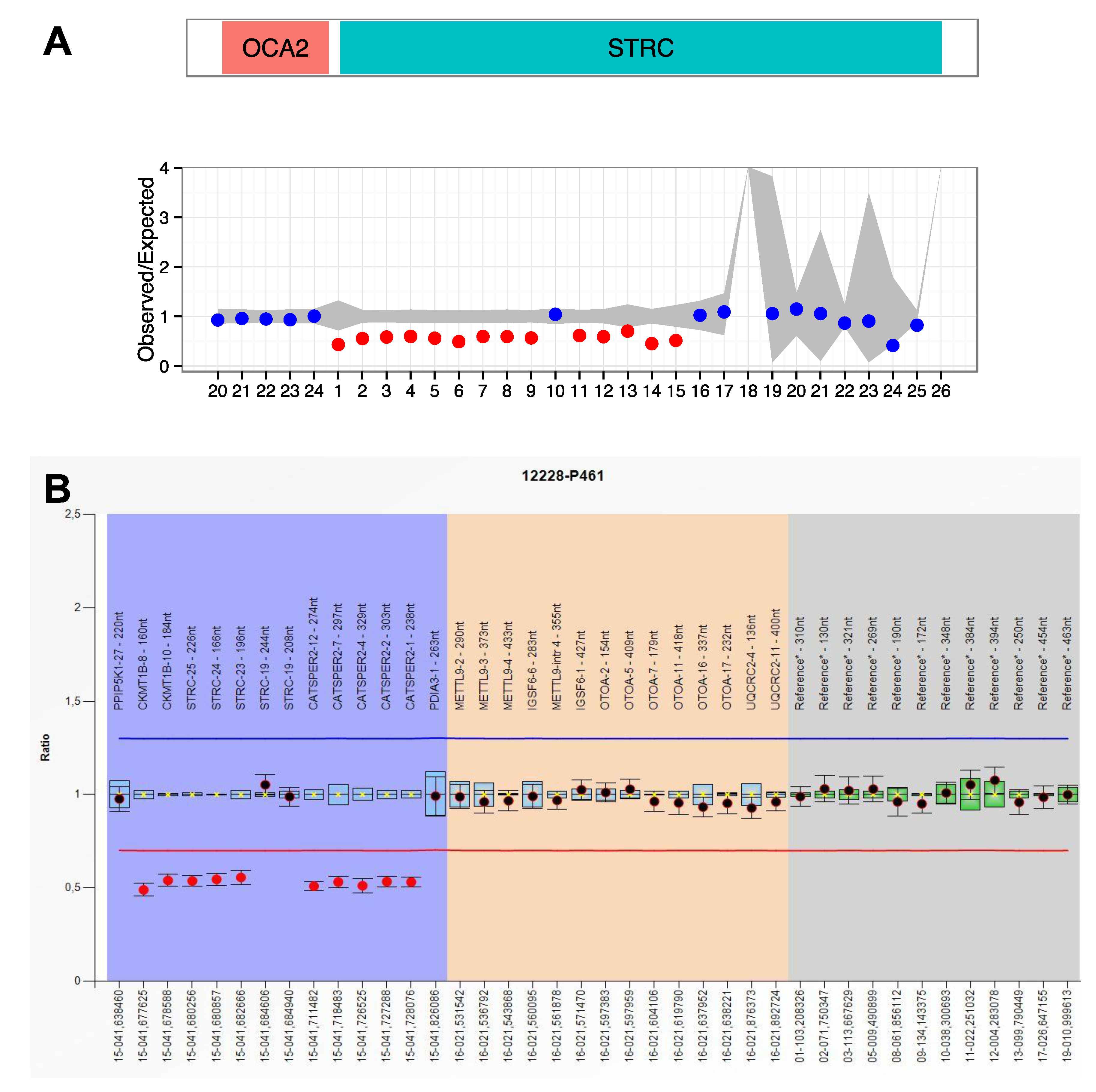 Genes 11 01467 g004