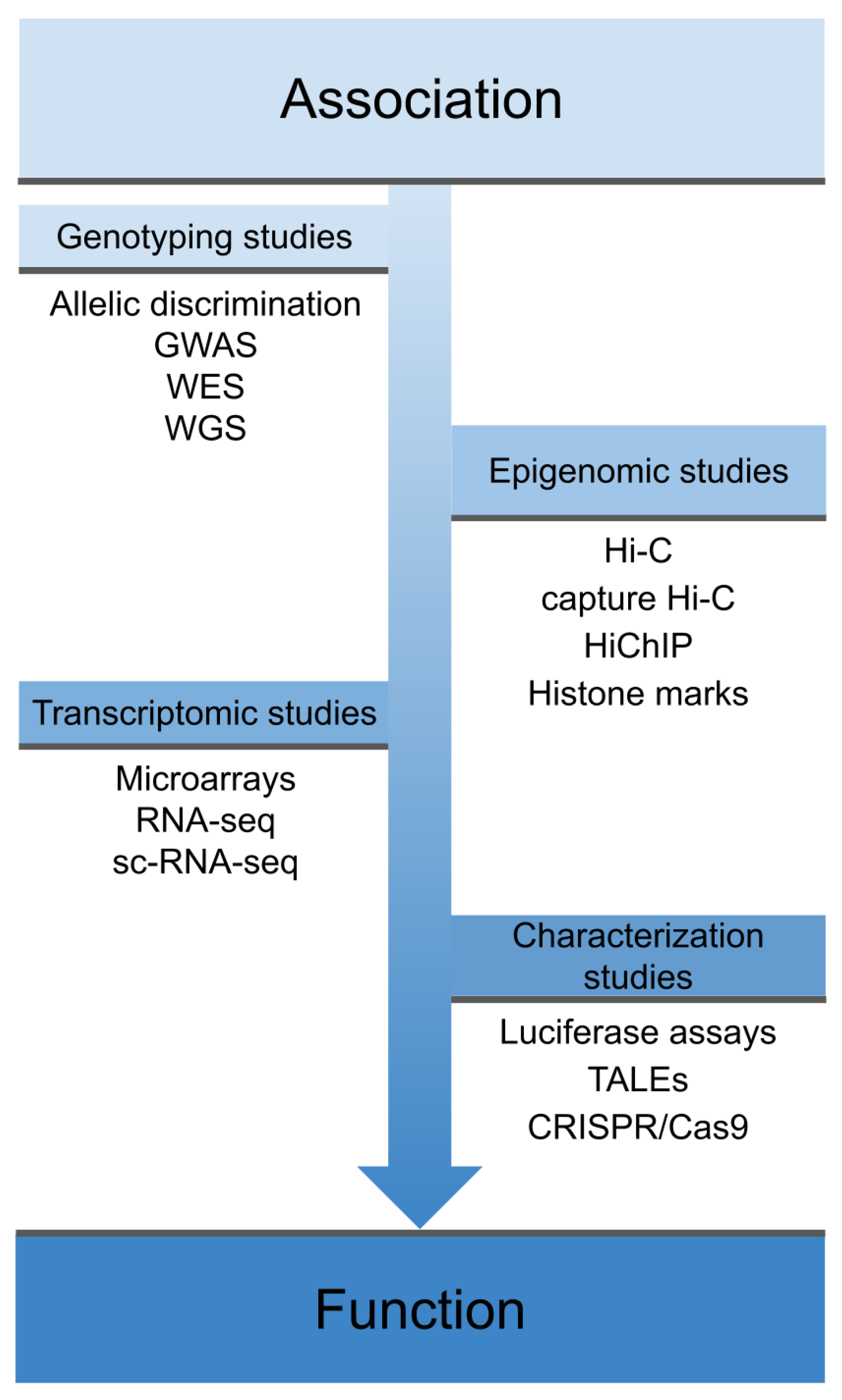 Genes 11 01482 g001 Genes 11 01482 g001