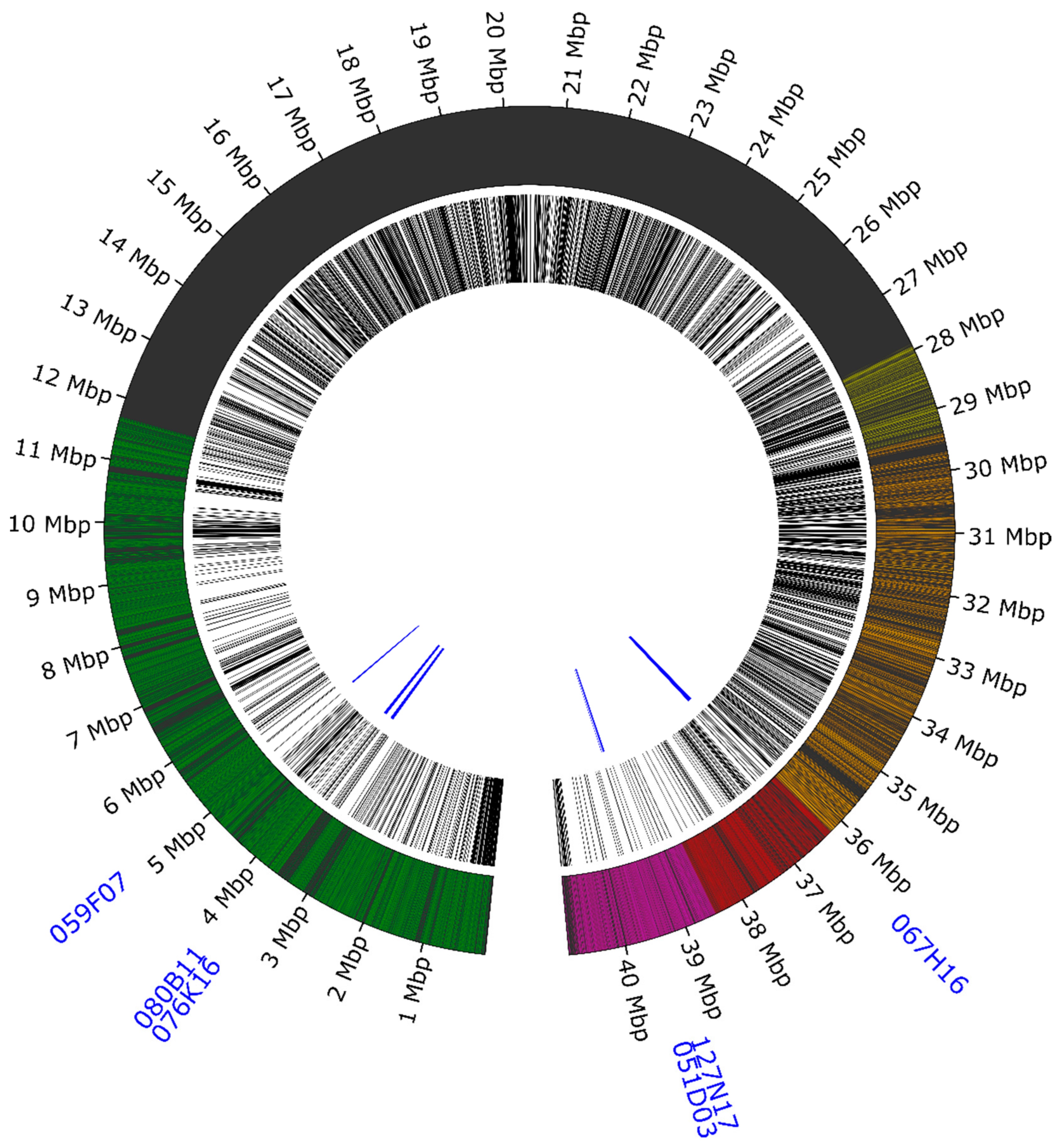 Genes 11 01489 g002