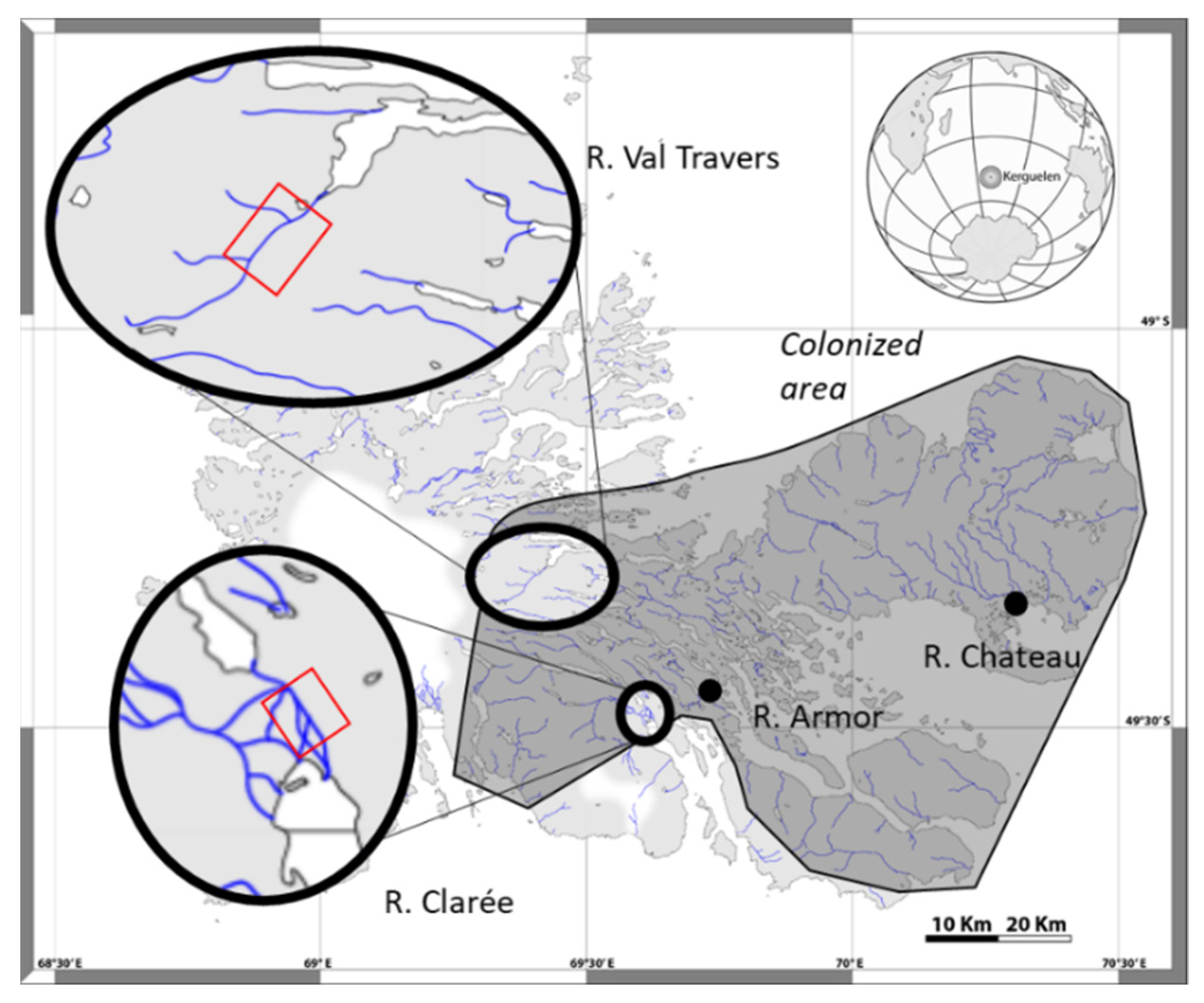 Genes 12 00005 g001 Genes 12 00005 g001