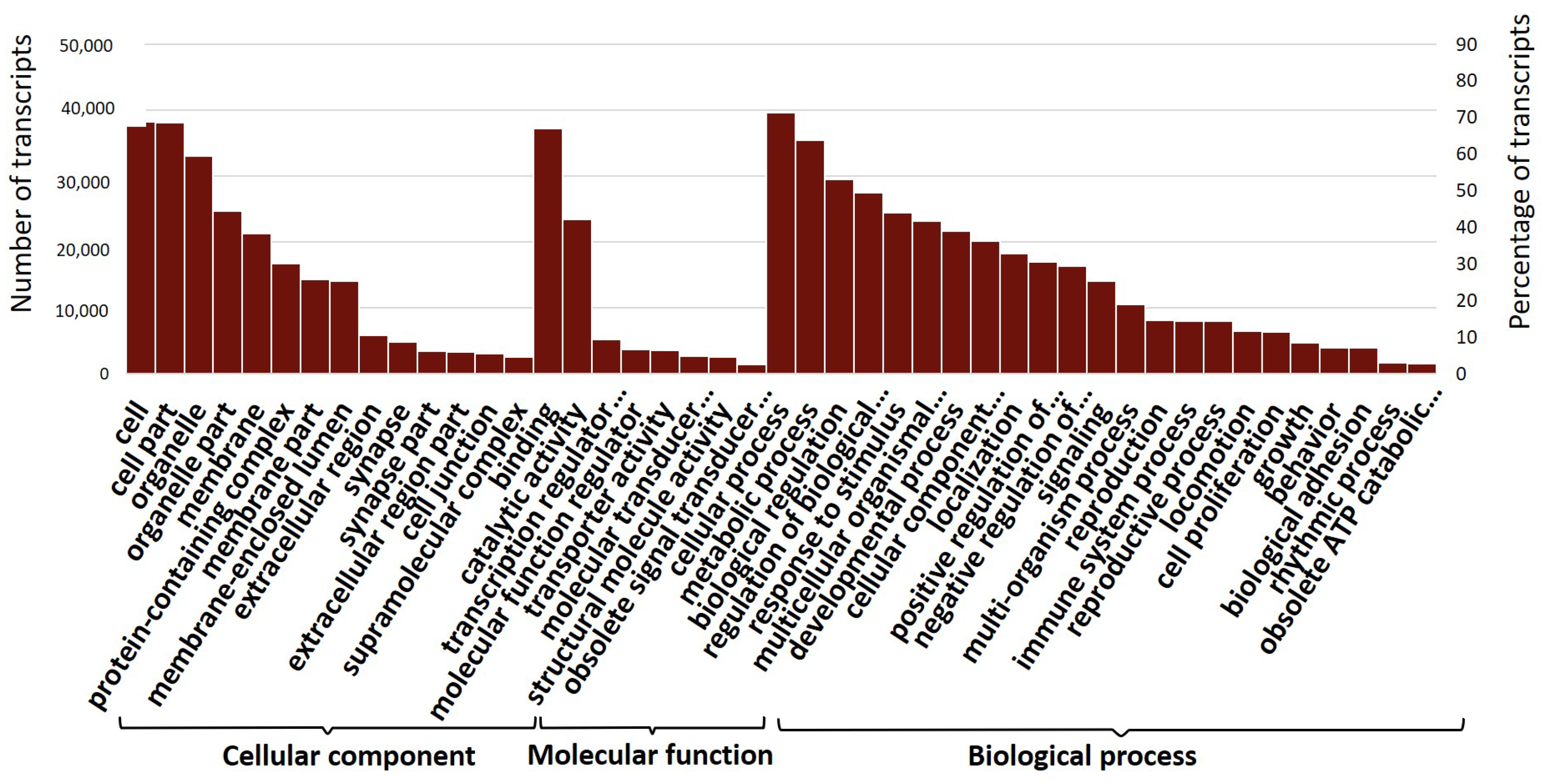 Genes 12 00007 g004