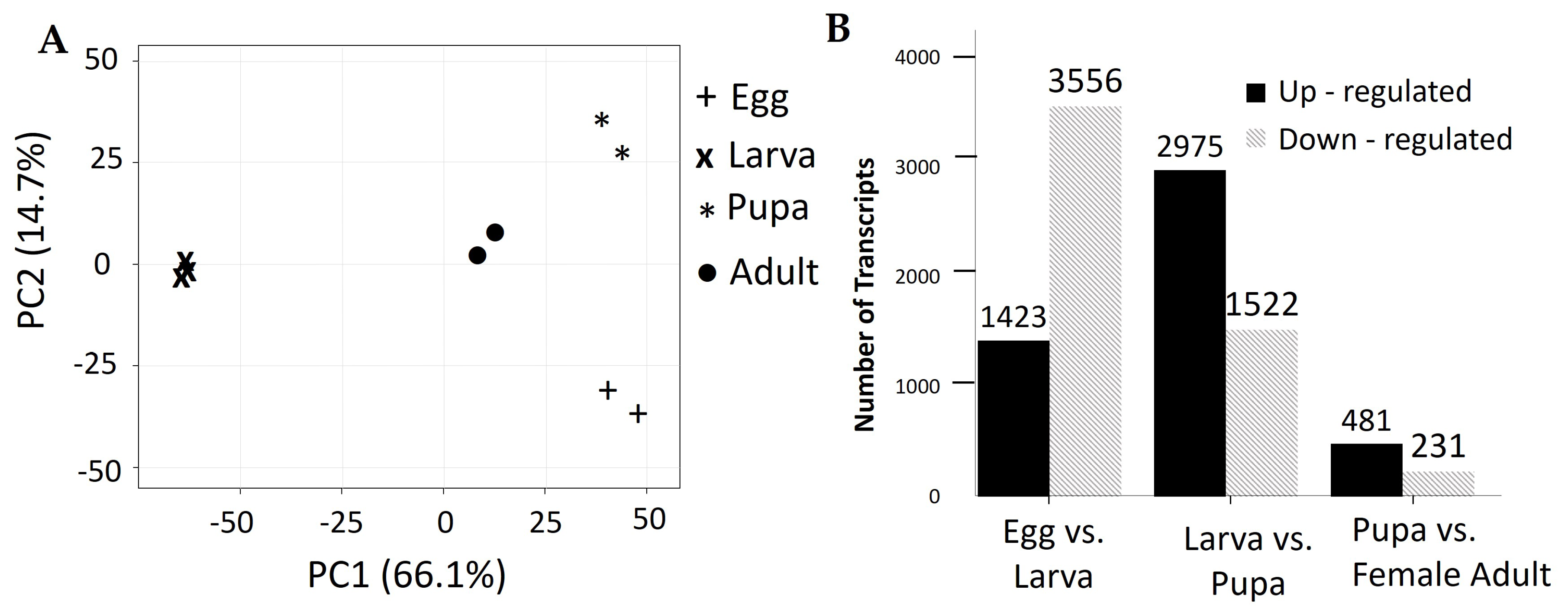 Genes 12 00007 g007