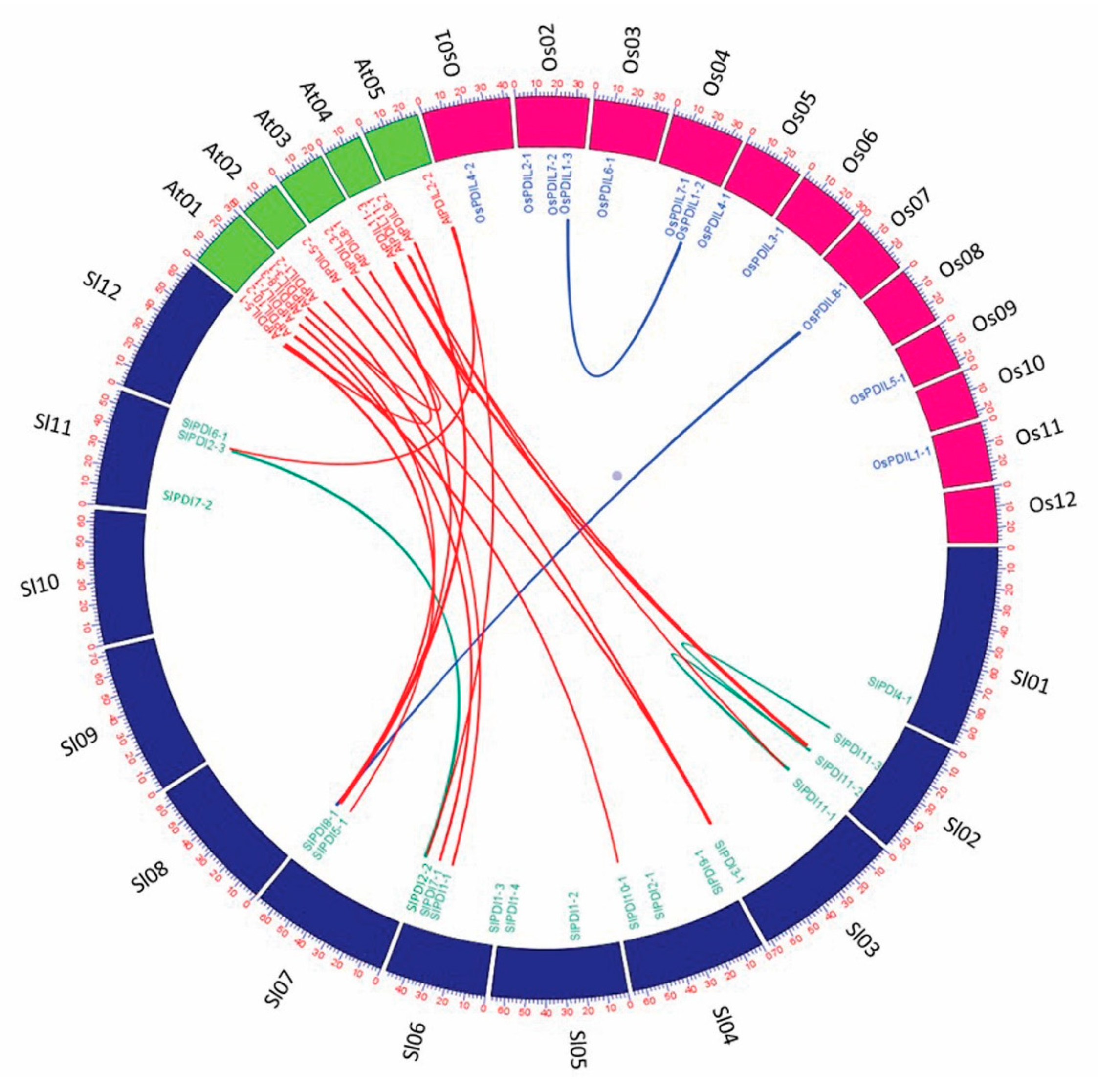 Genes 12 00023 g006 Genes 12 00023 g006