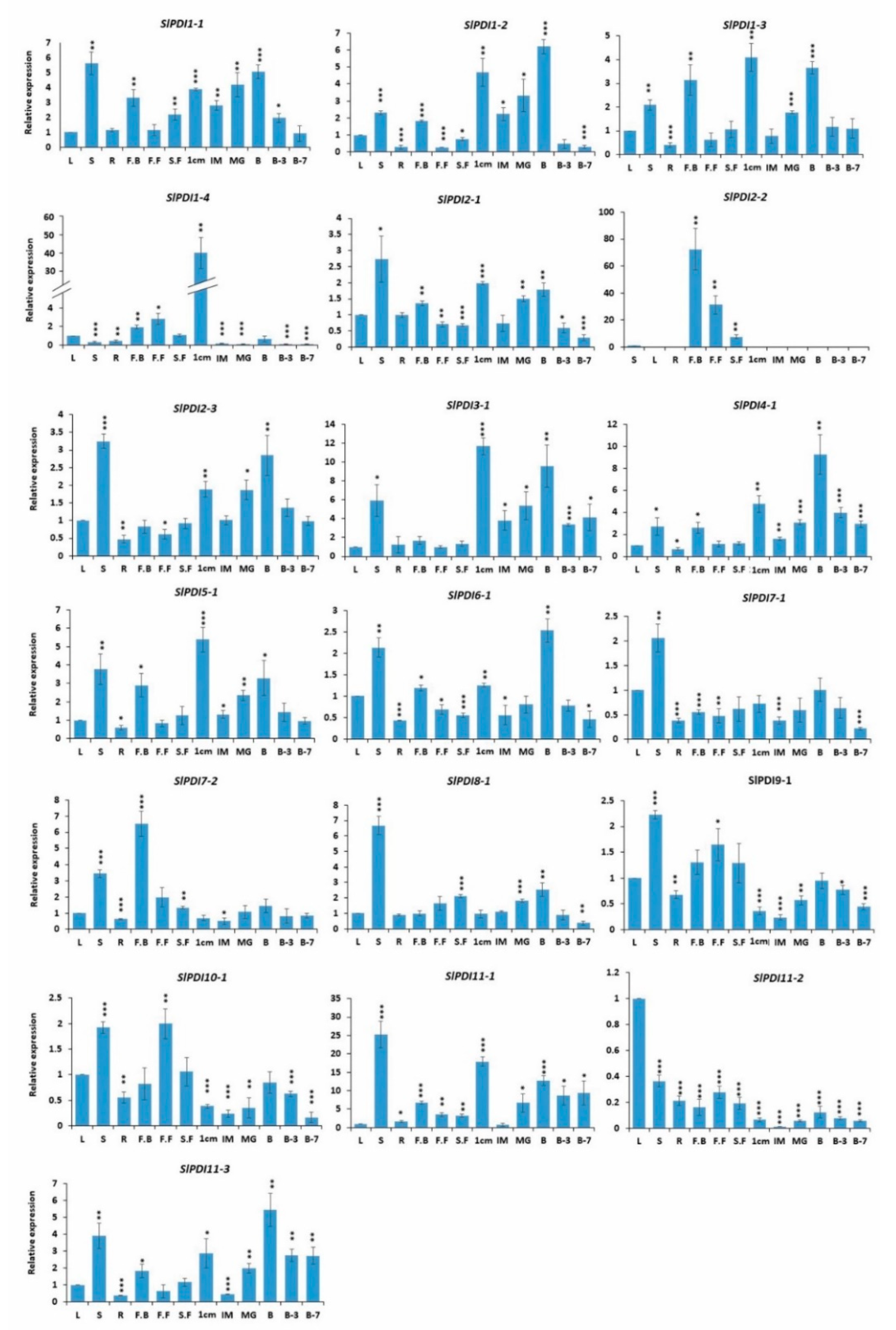 Genes 12 00023 g007 Genes 12 00023 g007