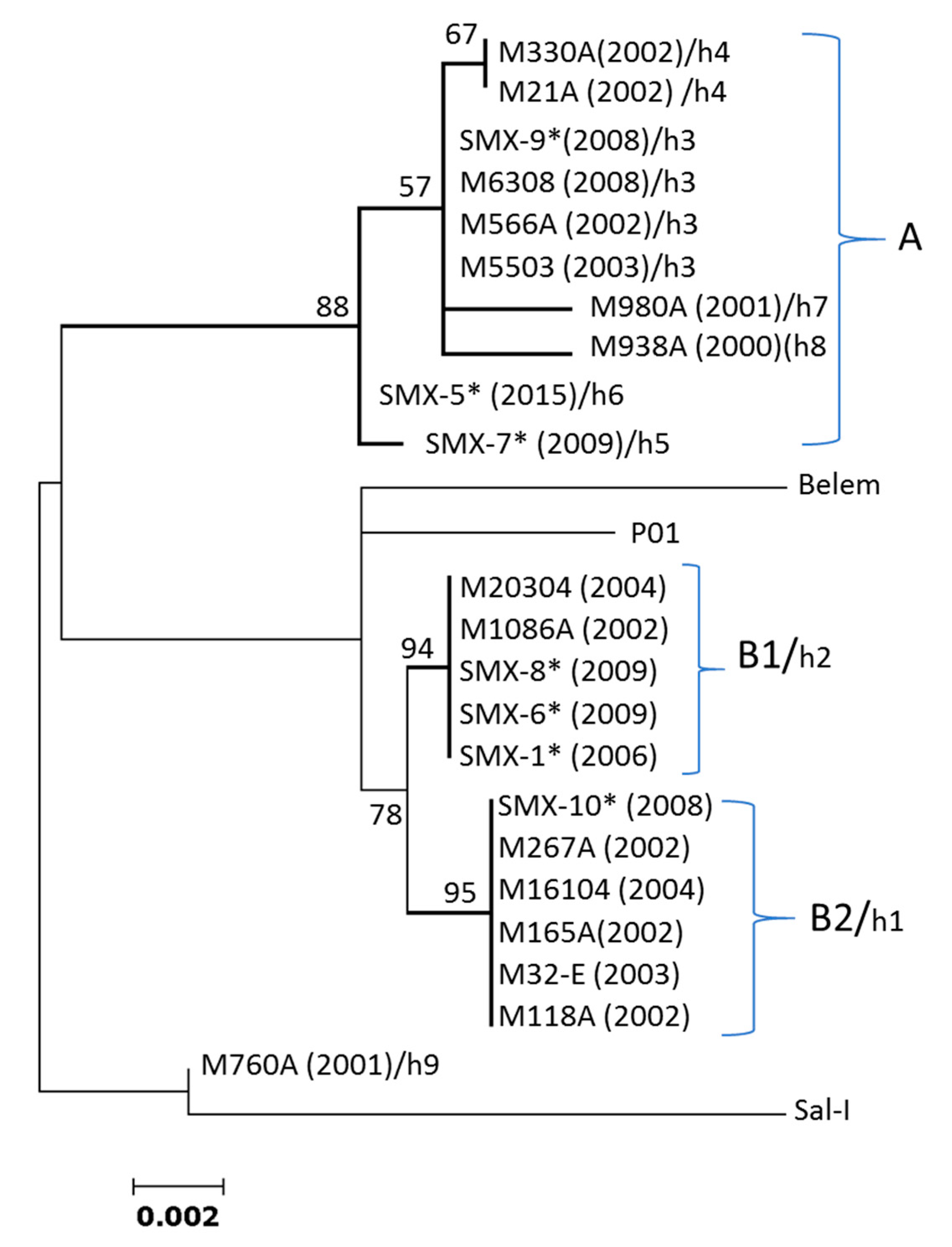 Genes 12 00029 g001 Genes 12 00029 g001