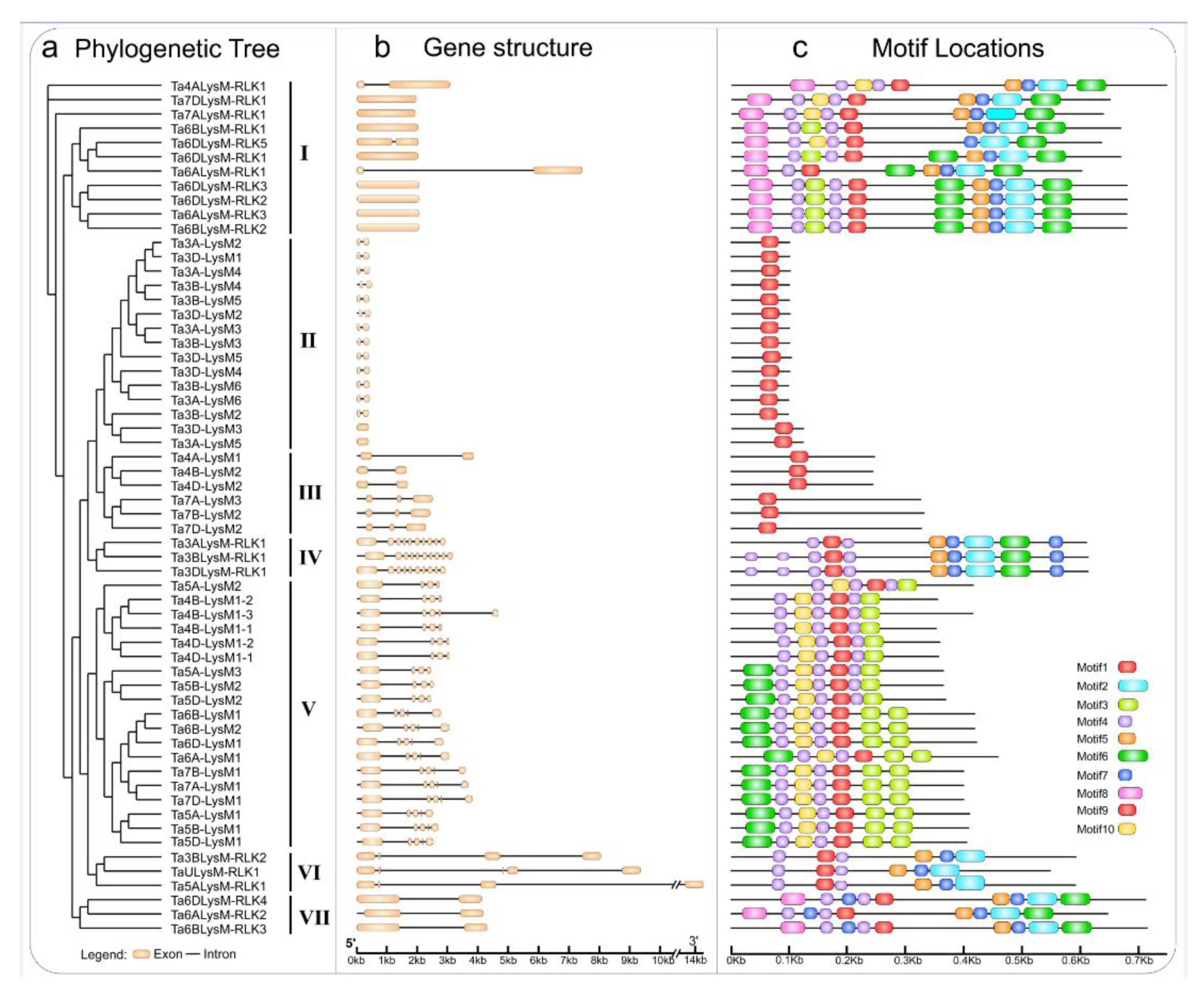 Genes 12 00031 g003 Genes 12 00031 g003