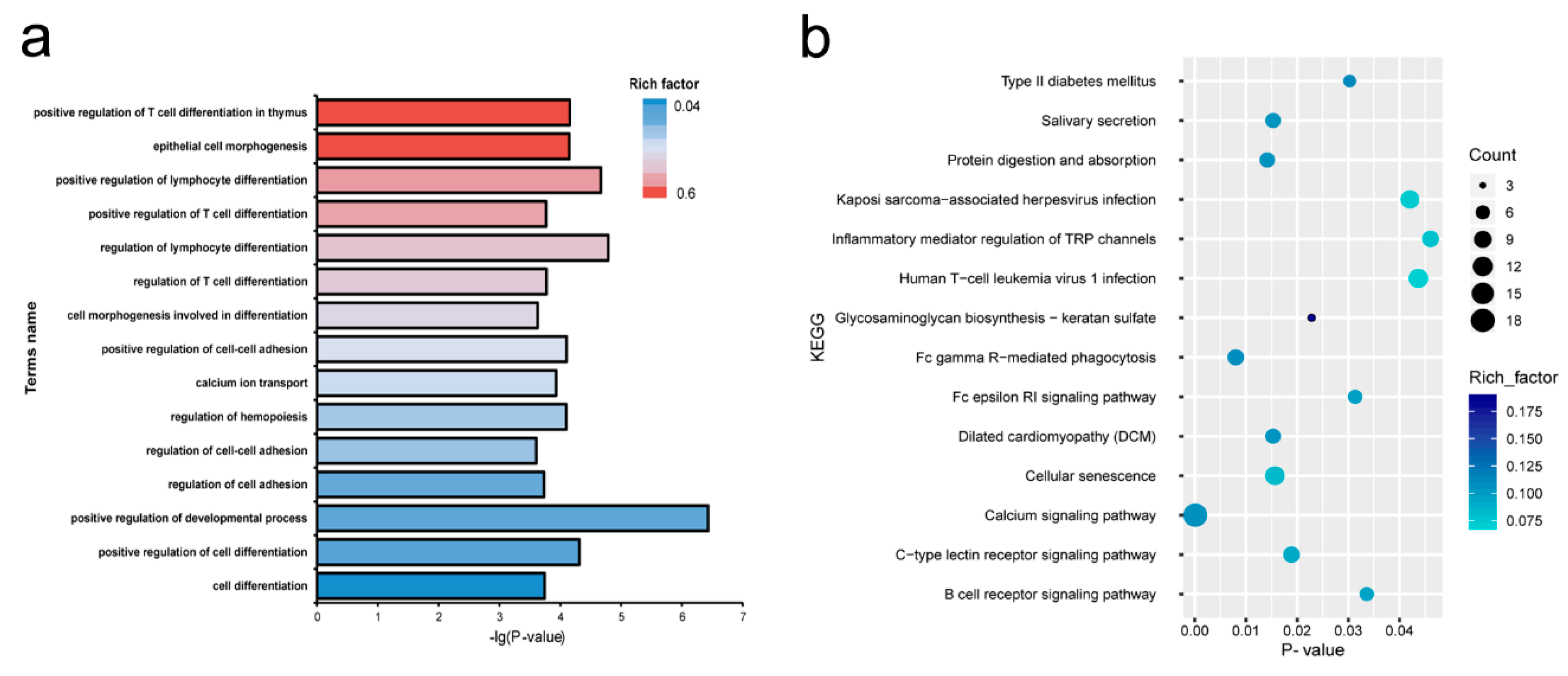Genes 12 00039 g003