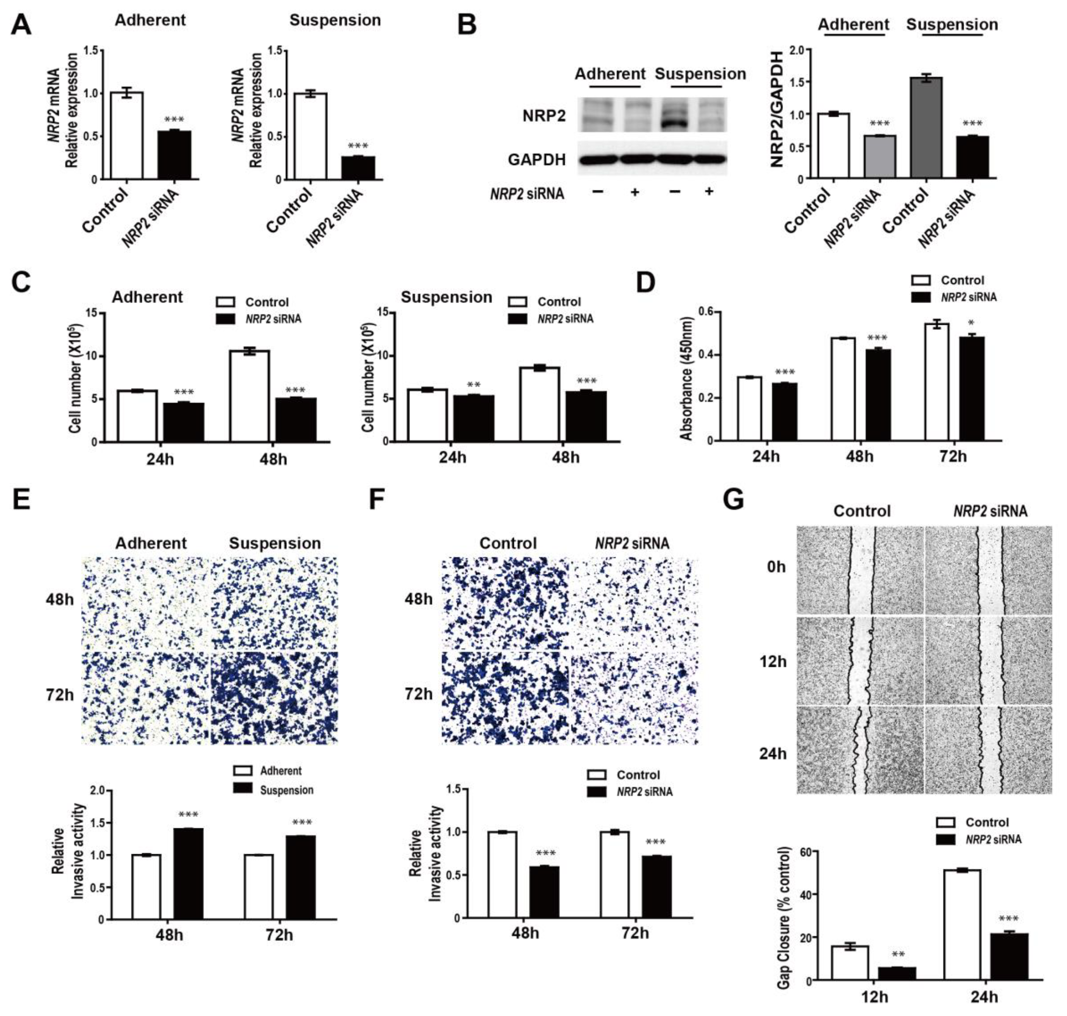 Genes 12 00045 g004 Genes 12 00045 g004
