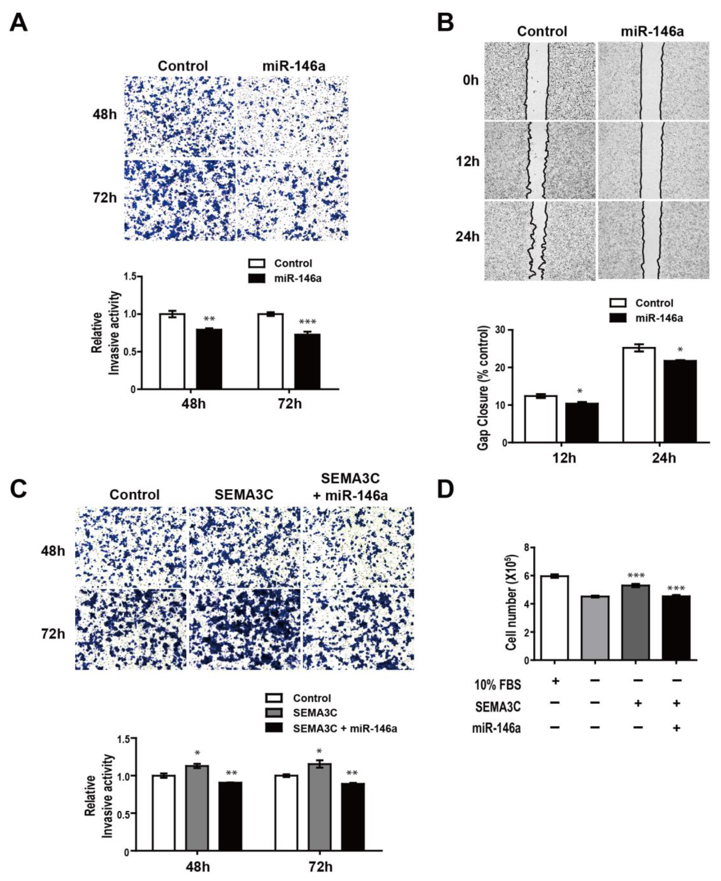 Genes 12 00045 g005 Genes 12 00045 g005