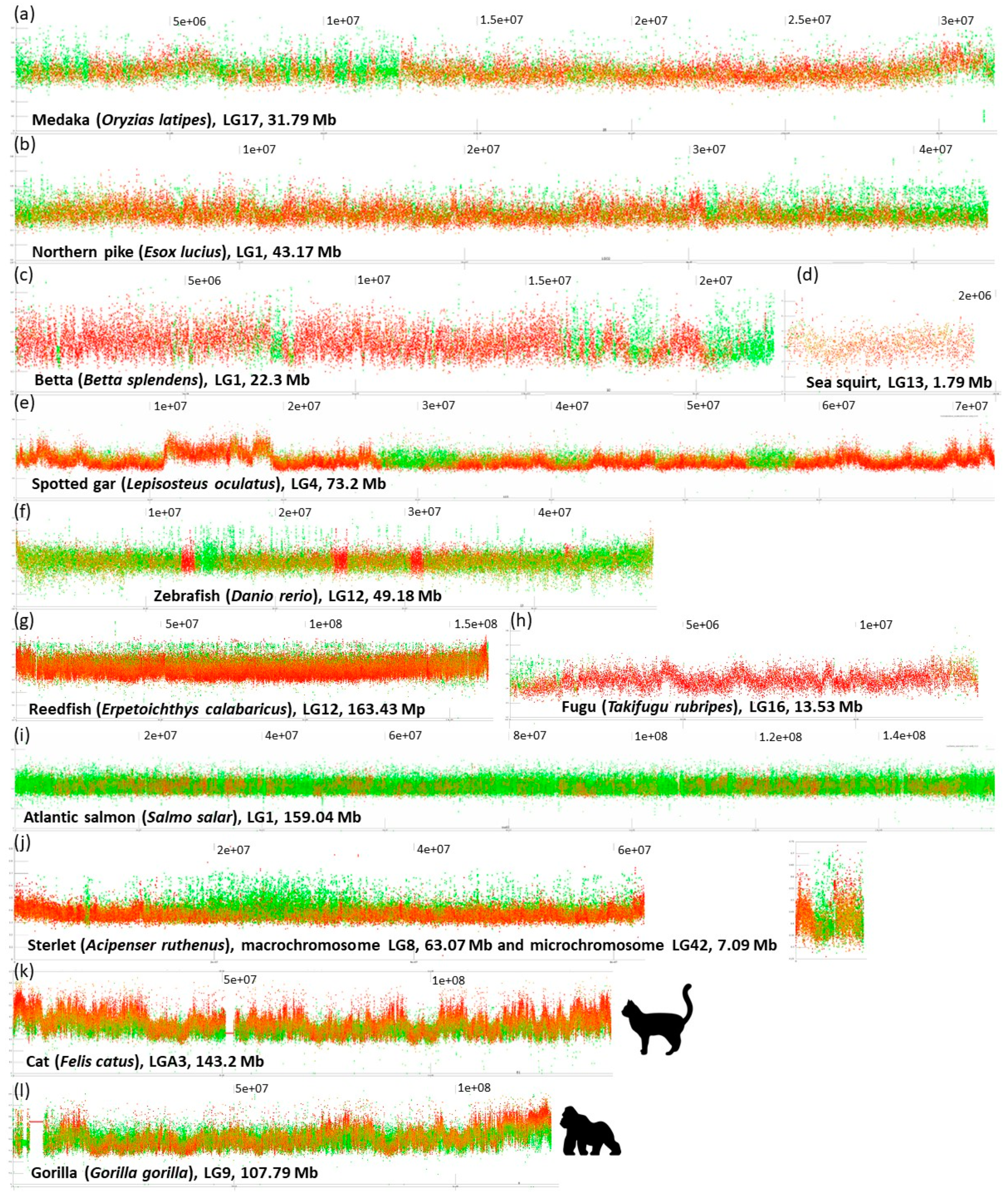Genes 12 00050 g002 Genes 12 00050 g002