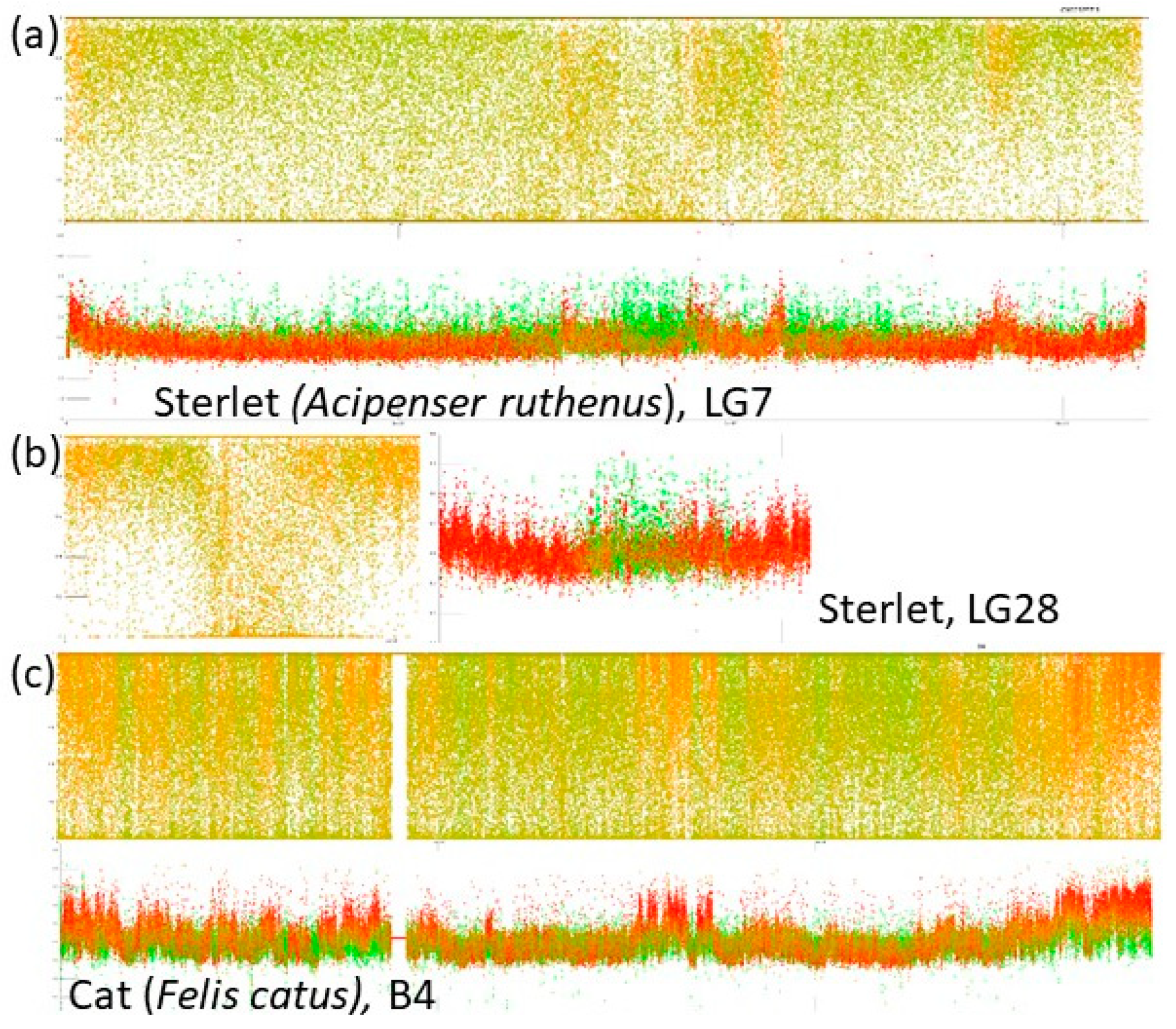 Genes 12 00050 g003 Genes 12 00050 g003