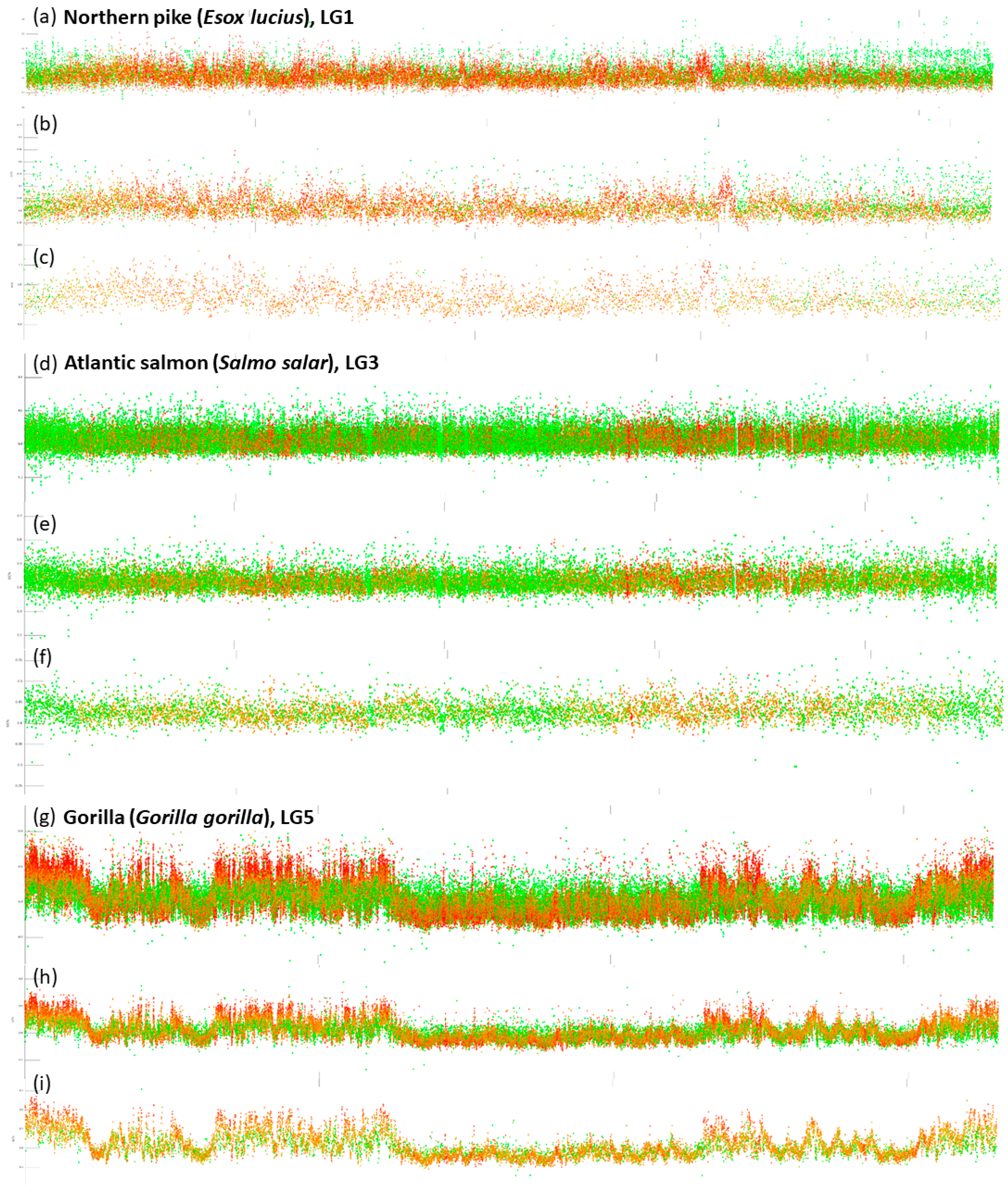 Genes 12 00050 g004 Genes 12 00050 g004
