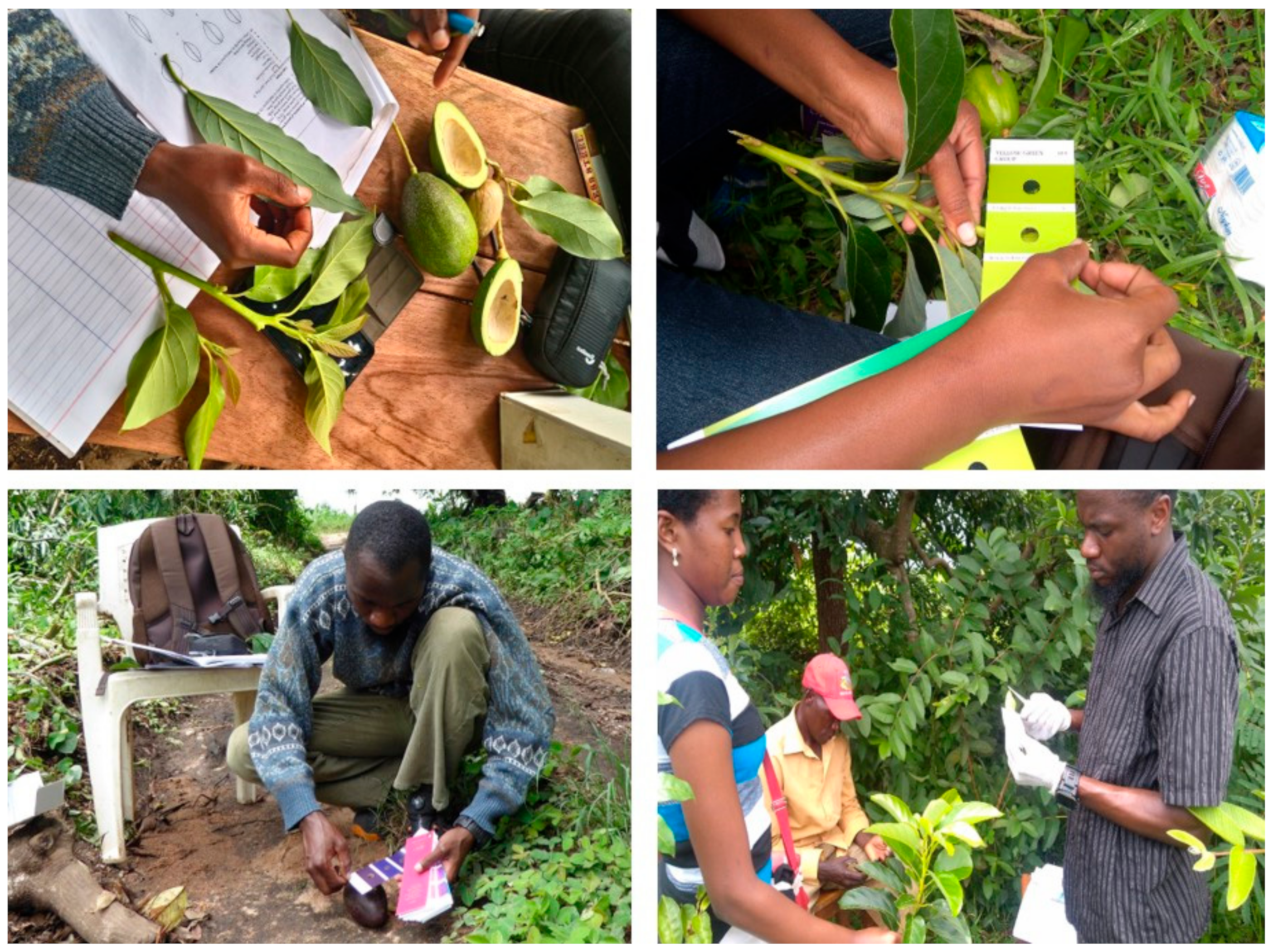 Genes 12 00063 g002 Genes 12 00063 g002