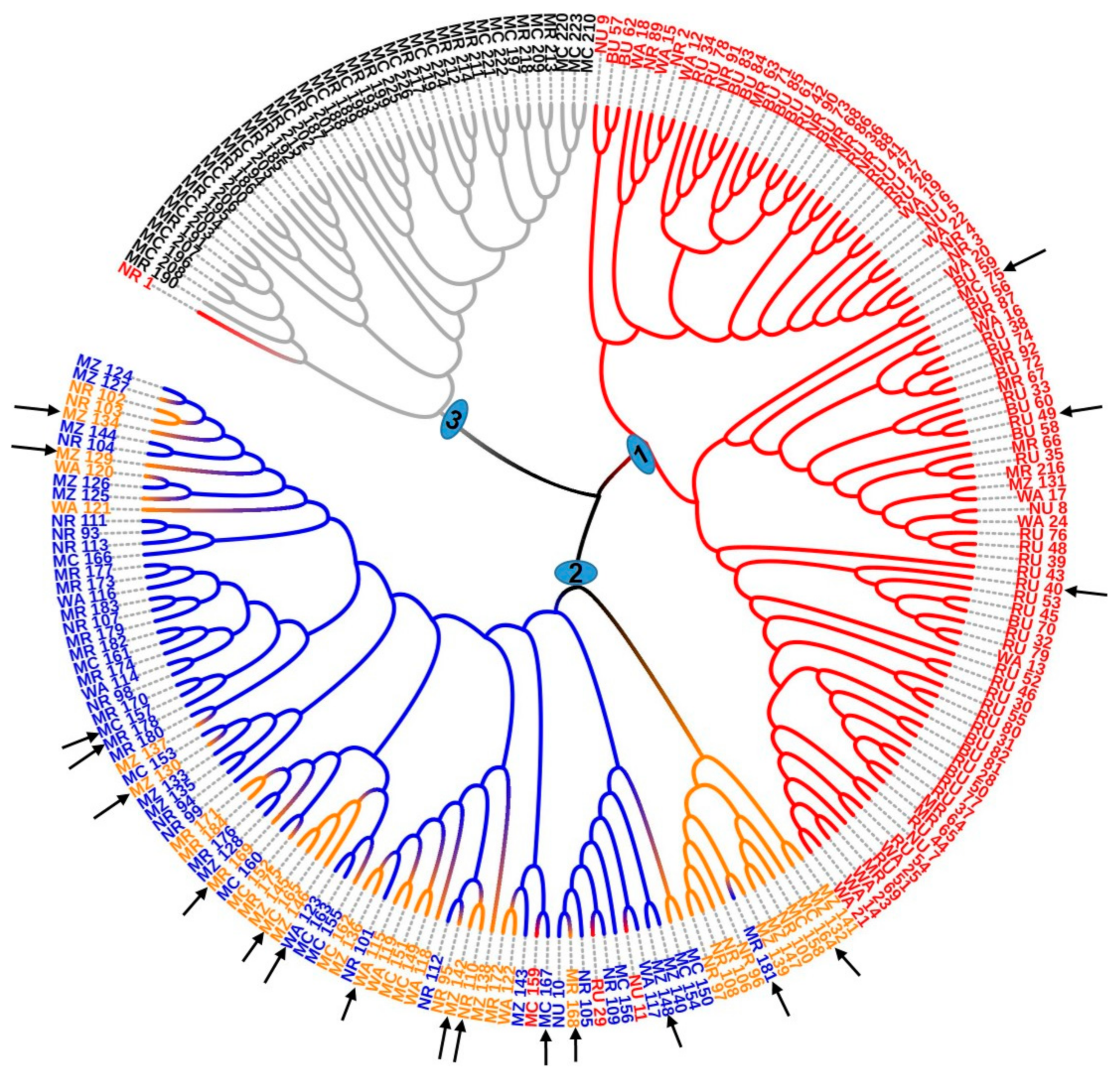 Genes 12 00063 g007 Genes 12 00063 g007