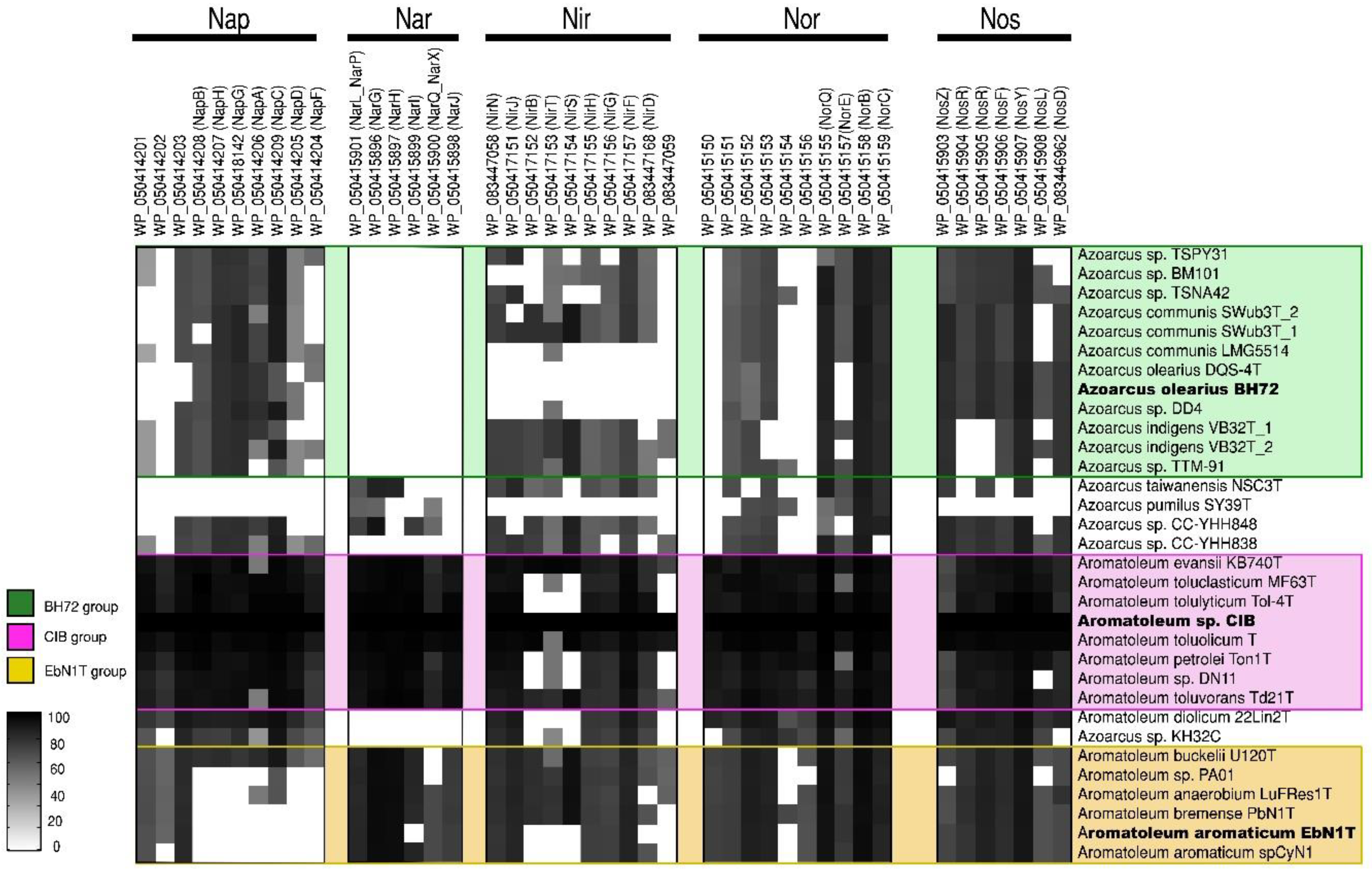 Genes 12 00071 g003 Genes 12 00071 g003