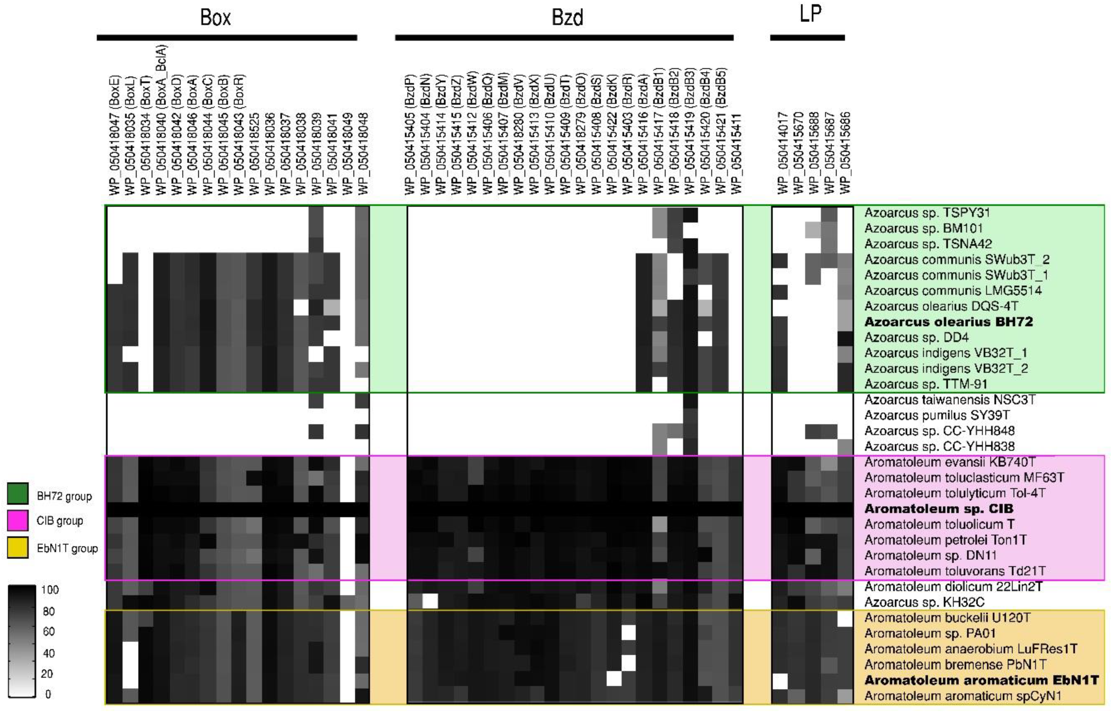 Genes 12 00071 g004 Genes 12 00071 g004