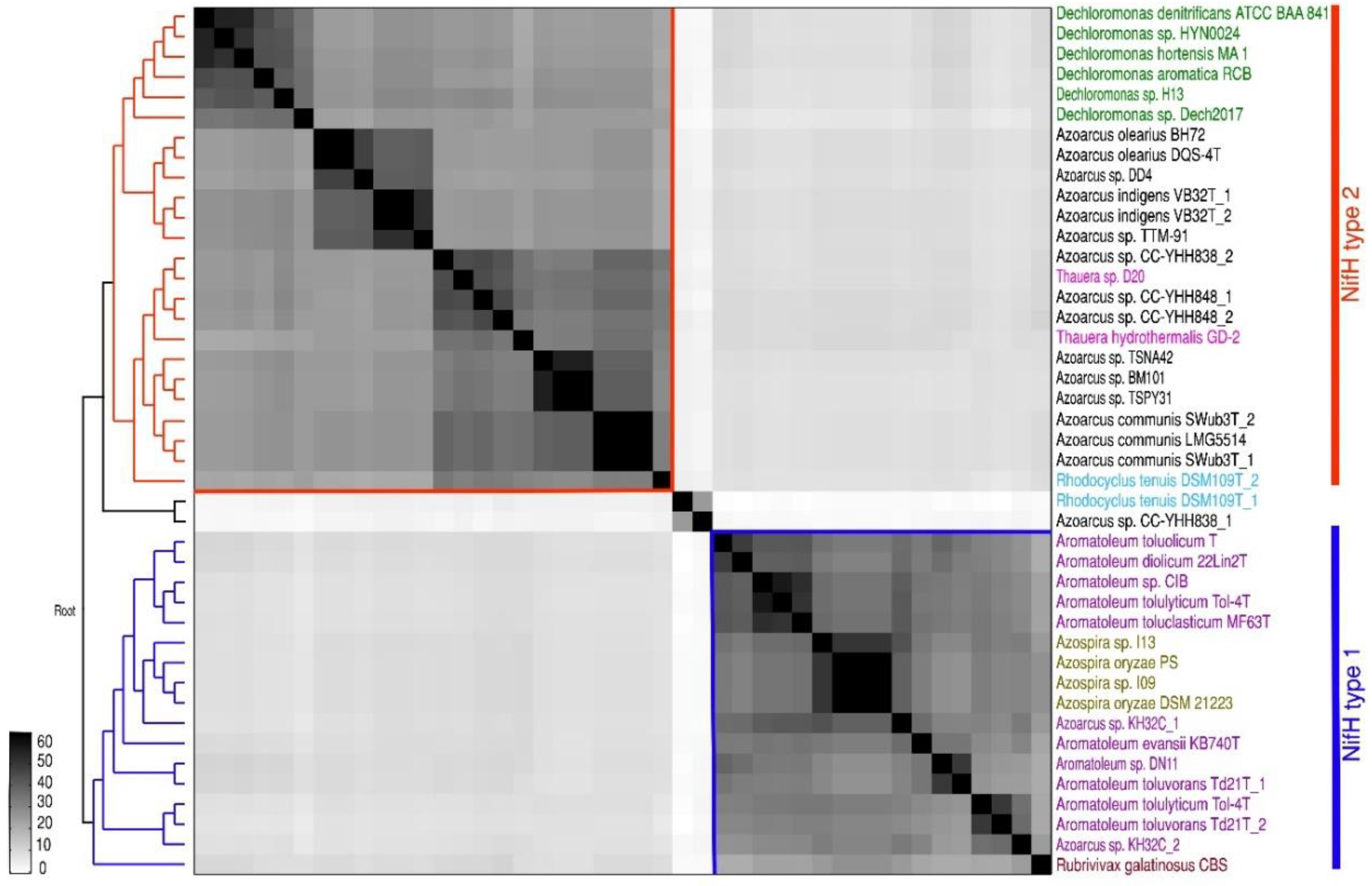 Genes 12 00071 g005 Genes 12 00071 g005
