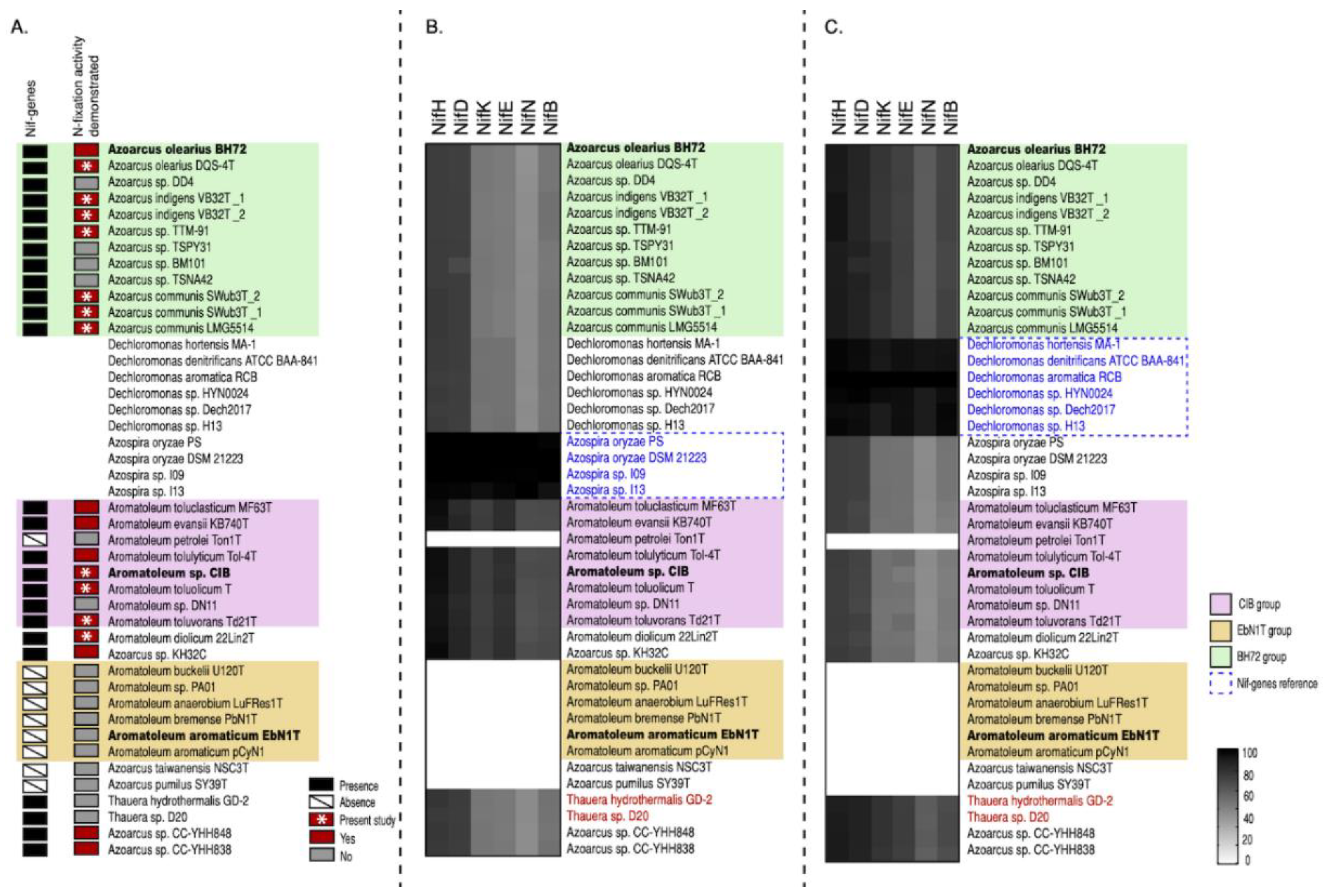 Genes 12 00071 g006 Genes 12 00071 g006