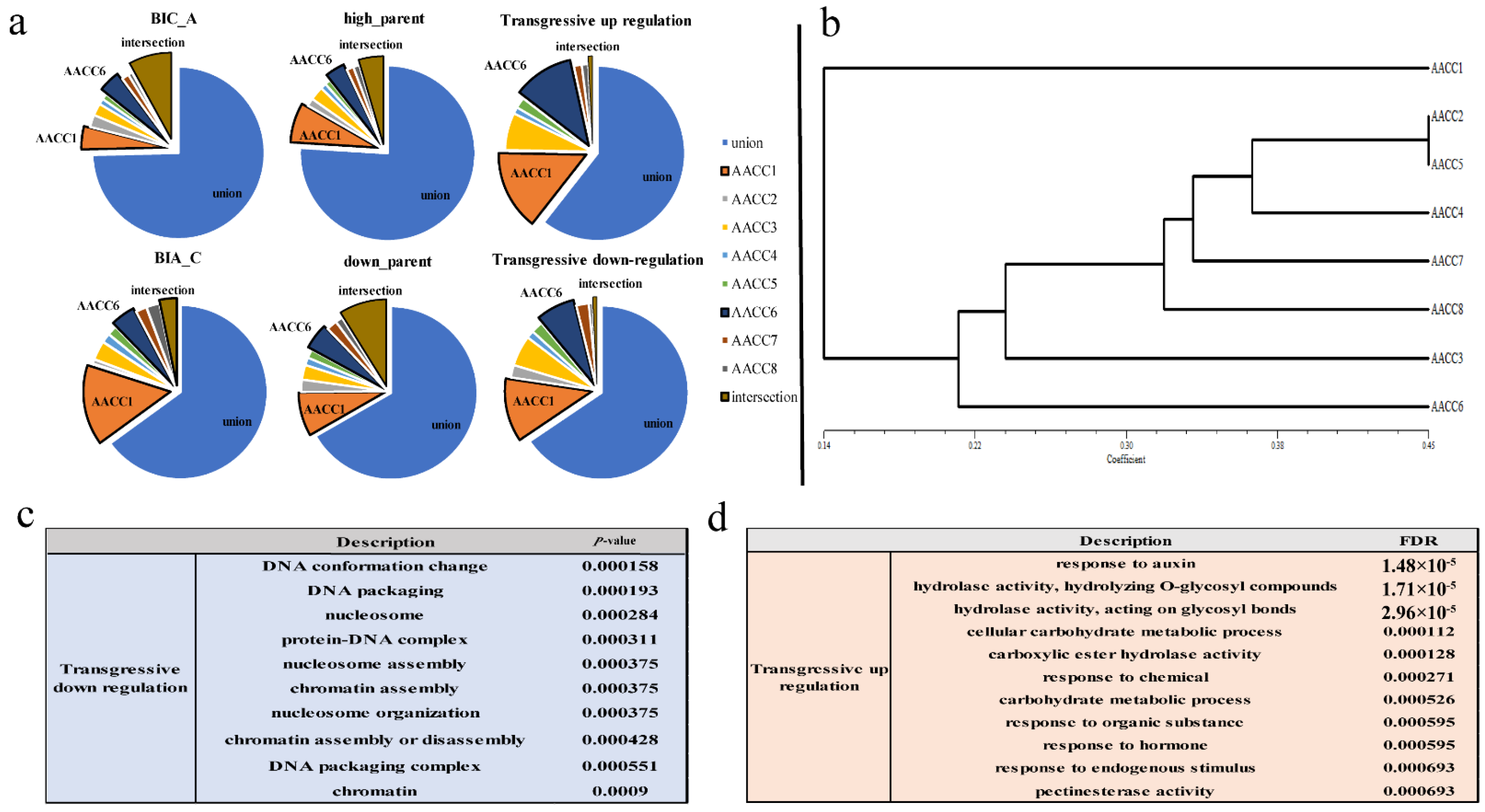 Genes 12 00082 g004 Genes 12 00082 g004