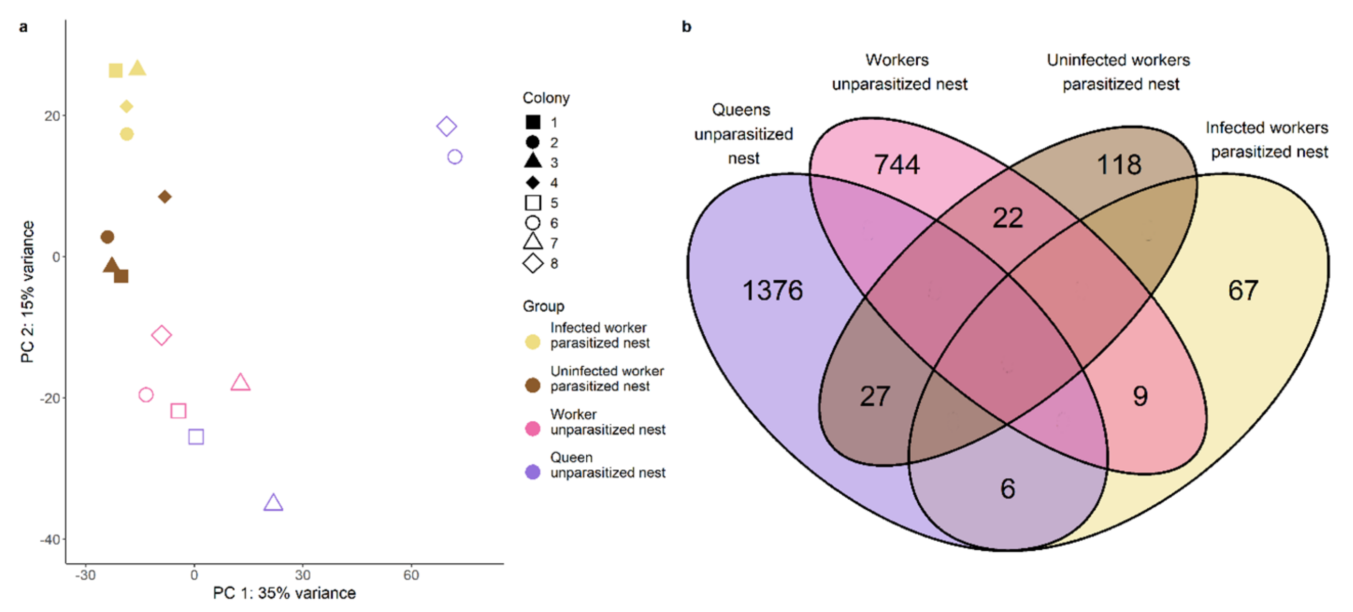 Genes 12 00095 g002