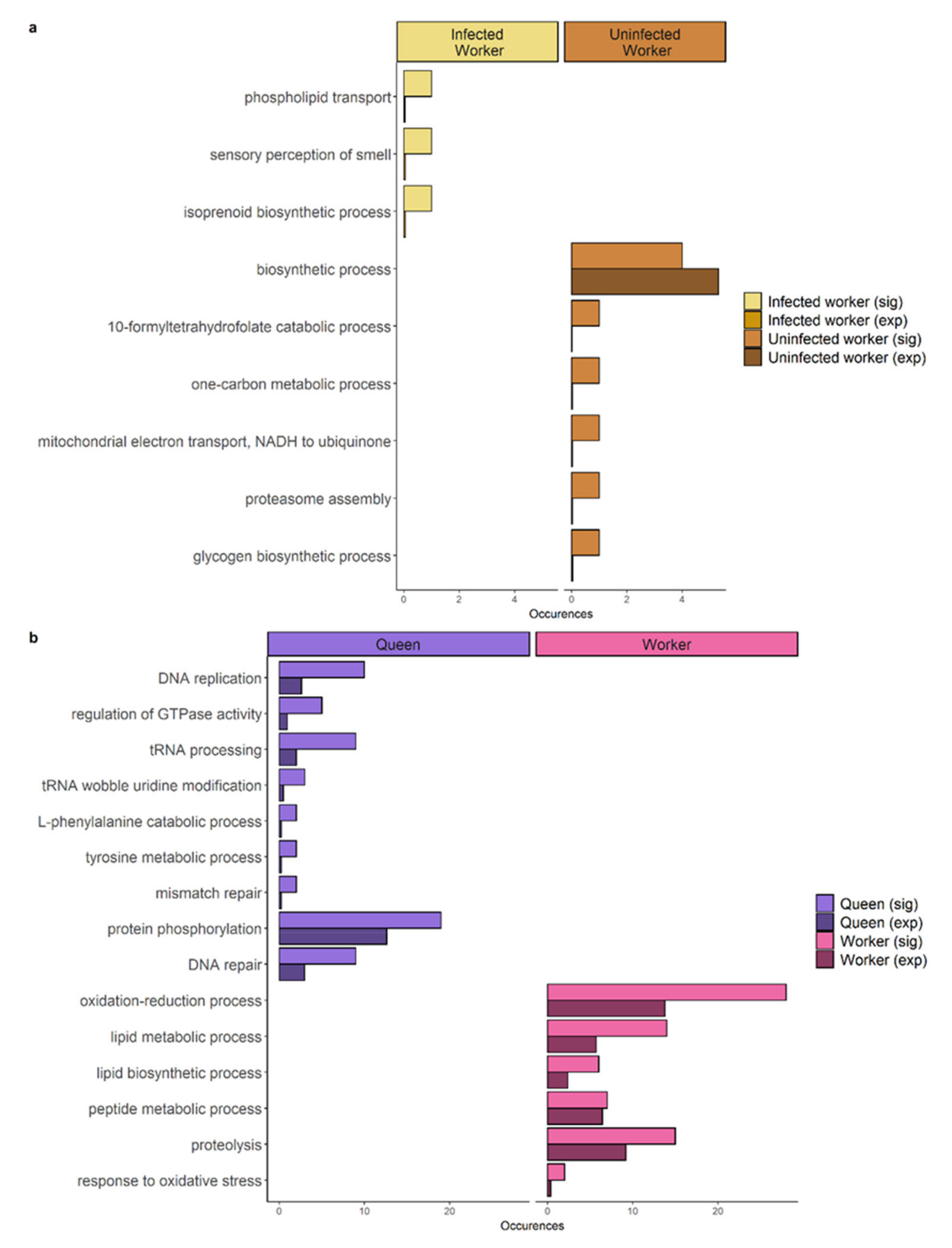 Genes 12 00095 g004