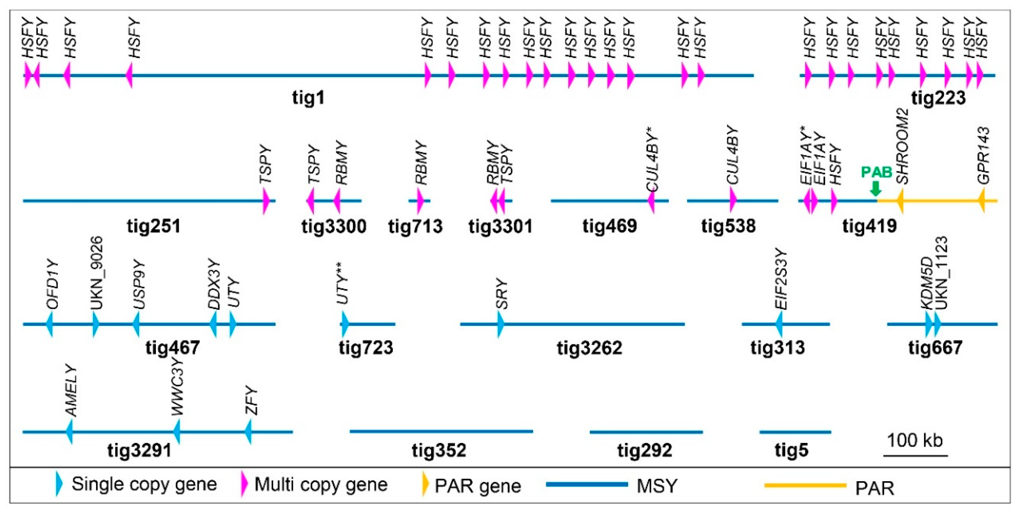 Genes 12 00105 g003