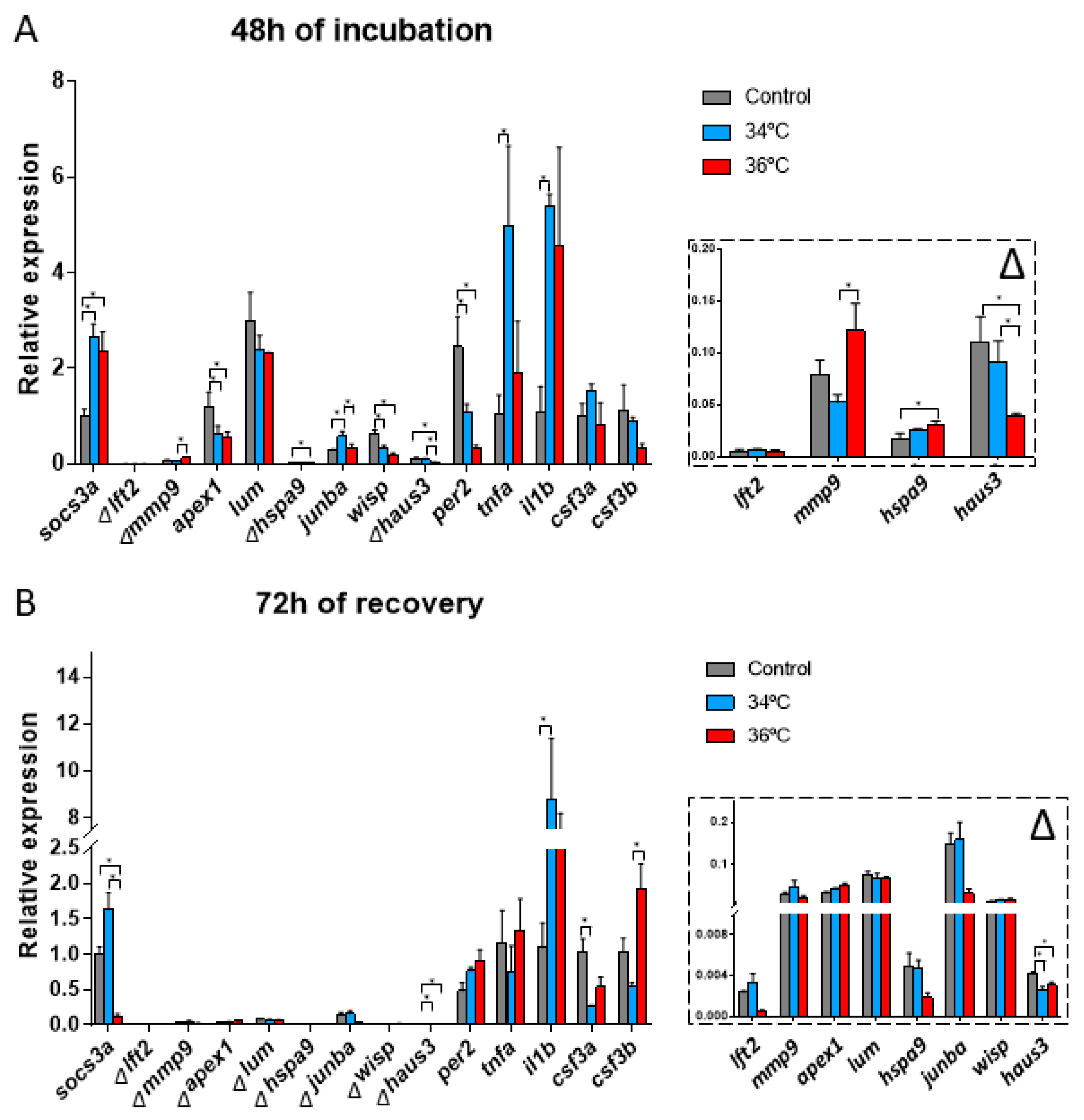 Genes 12 00113 g004
