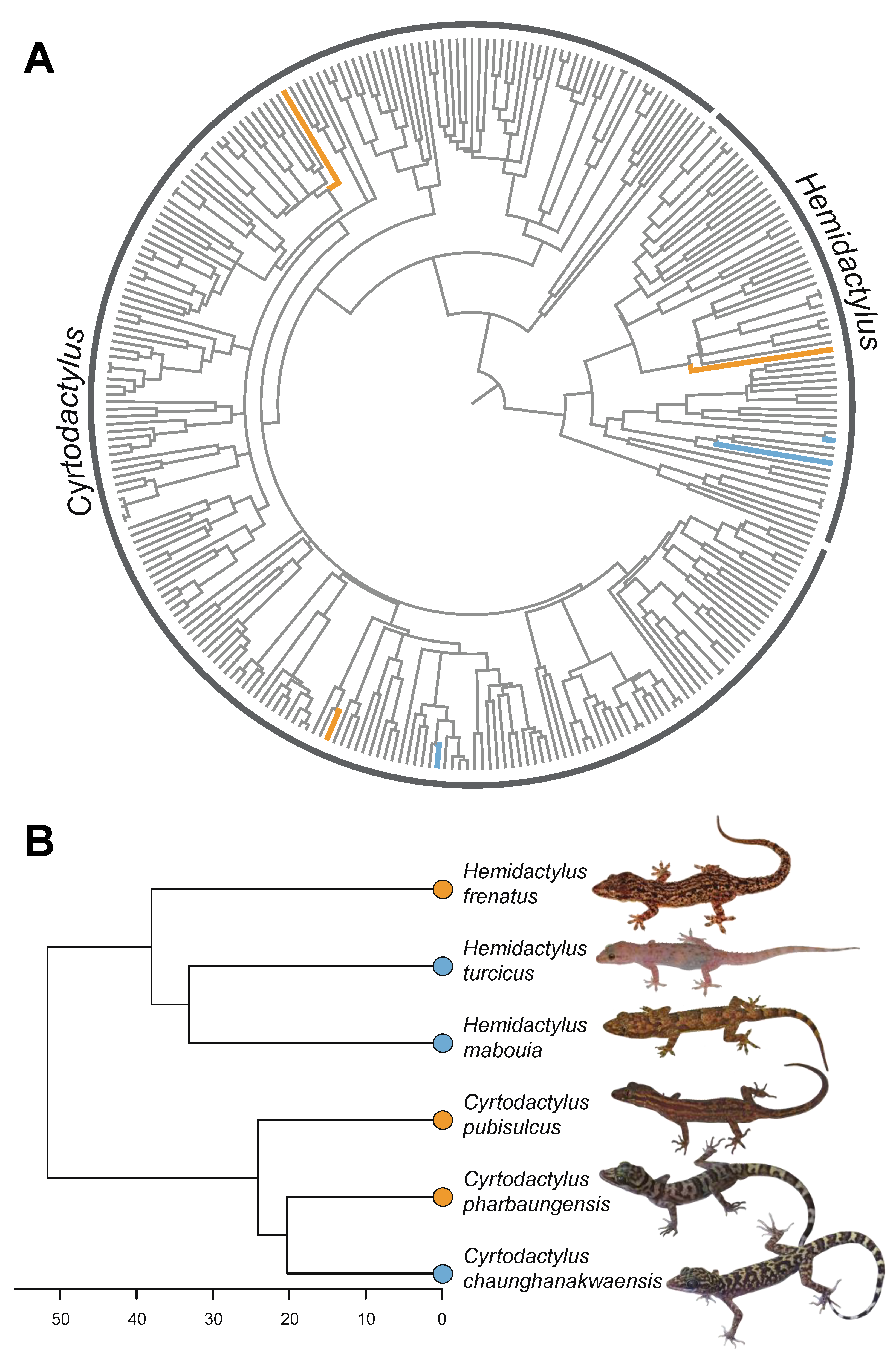 Genes 12 00116 g003