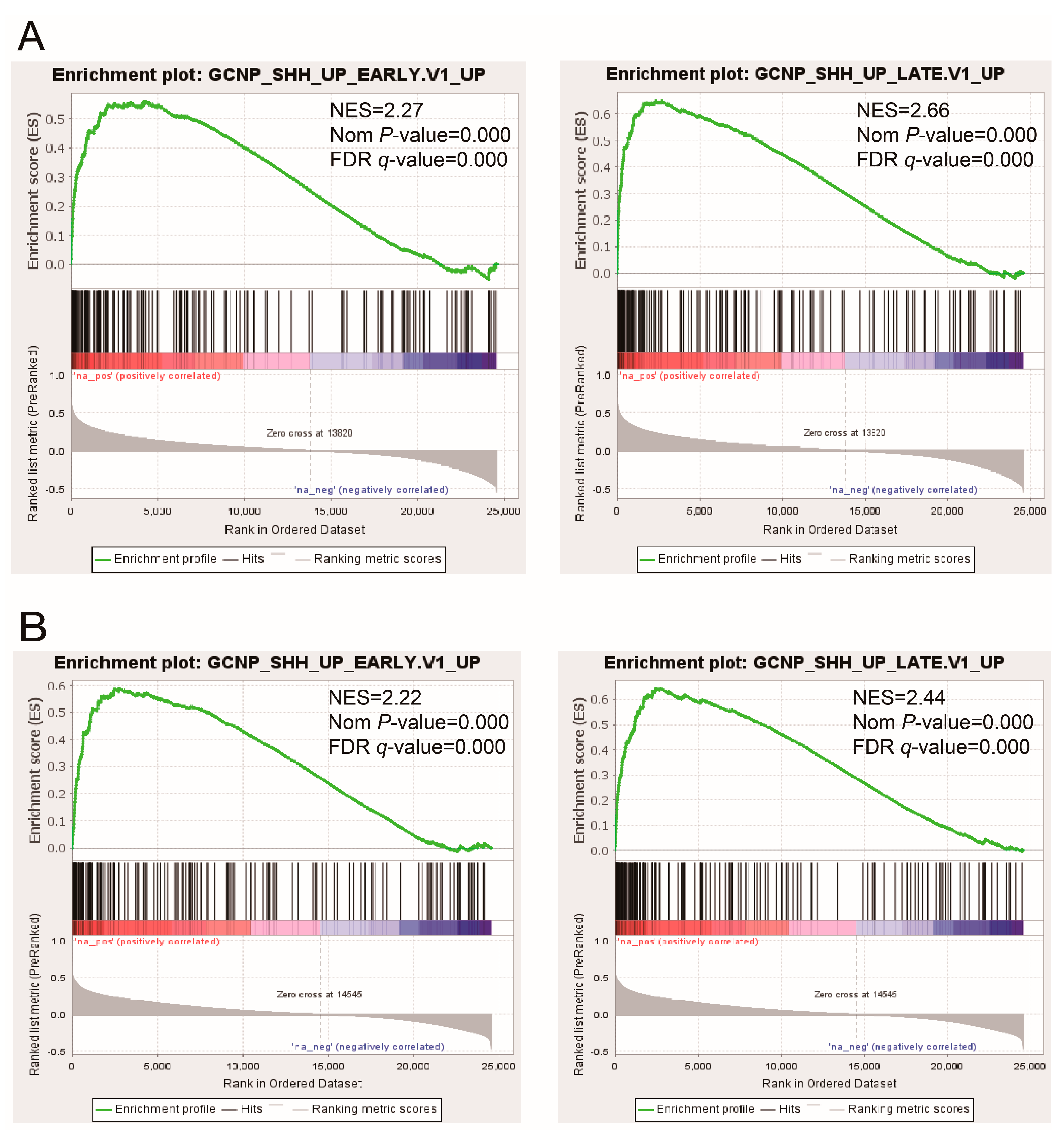 Genes 12 00120 g002
